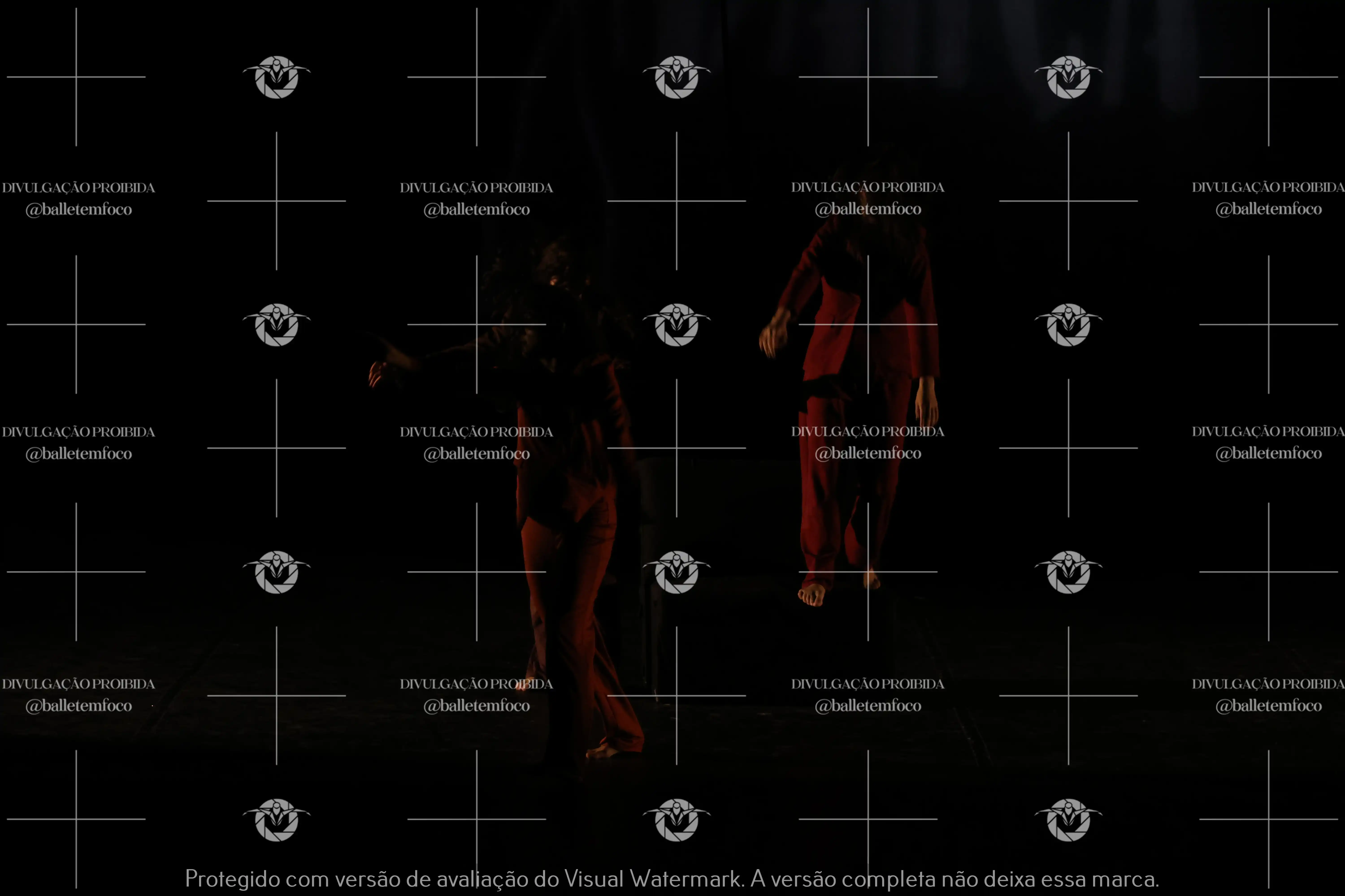 1325_220C (101).webp