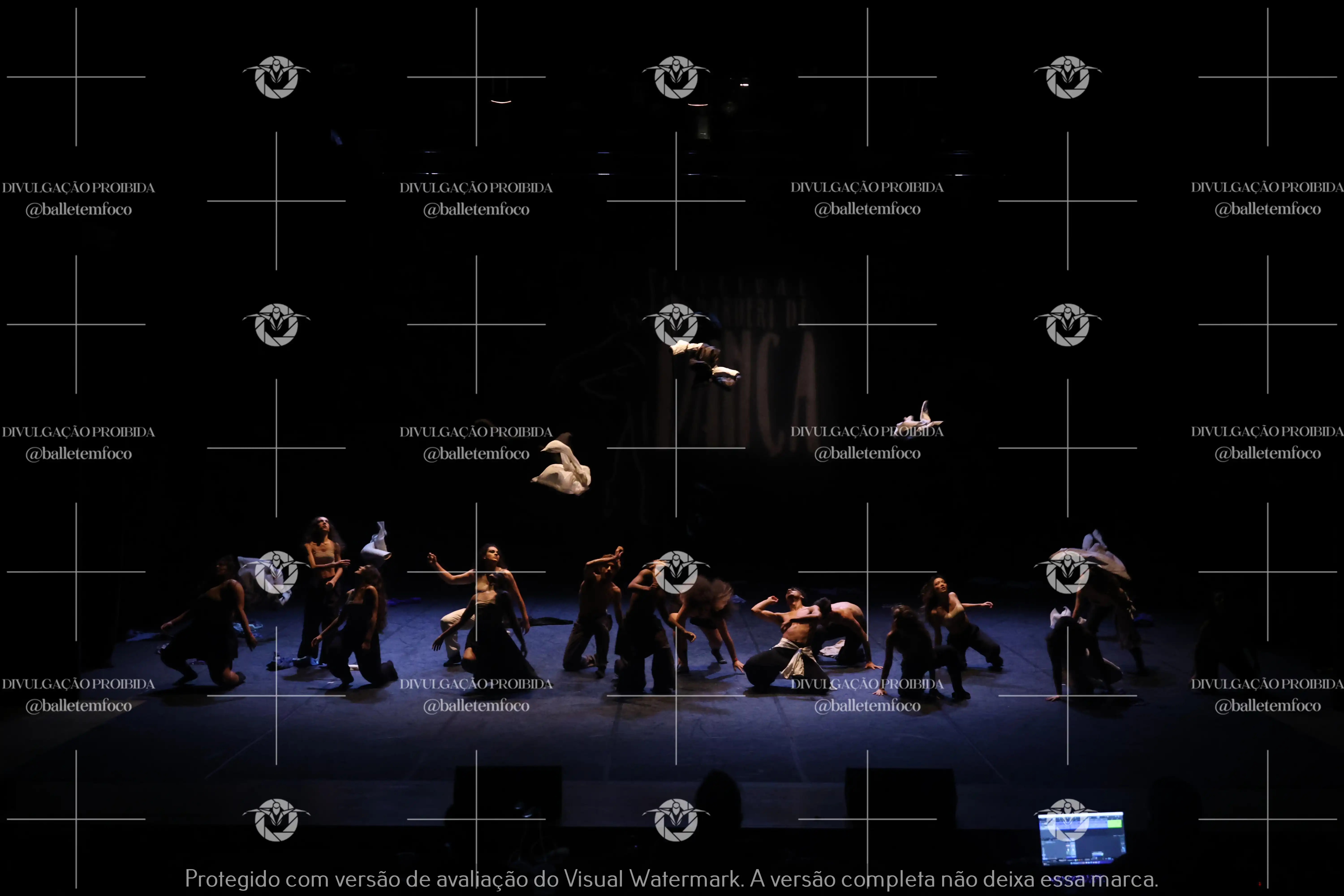 1325_221C (100).webp