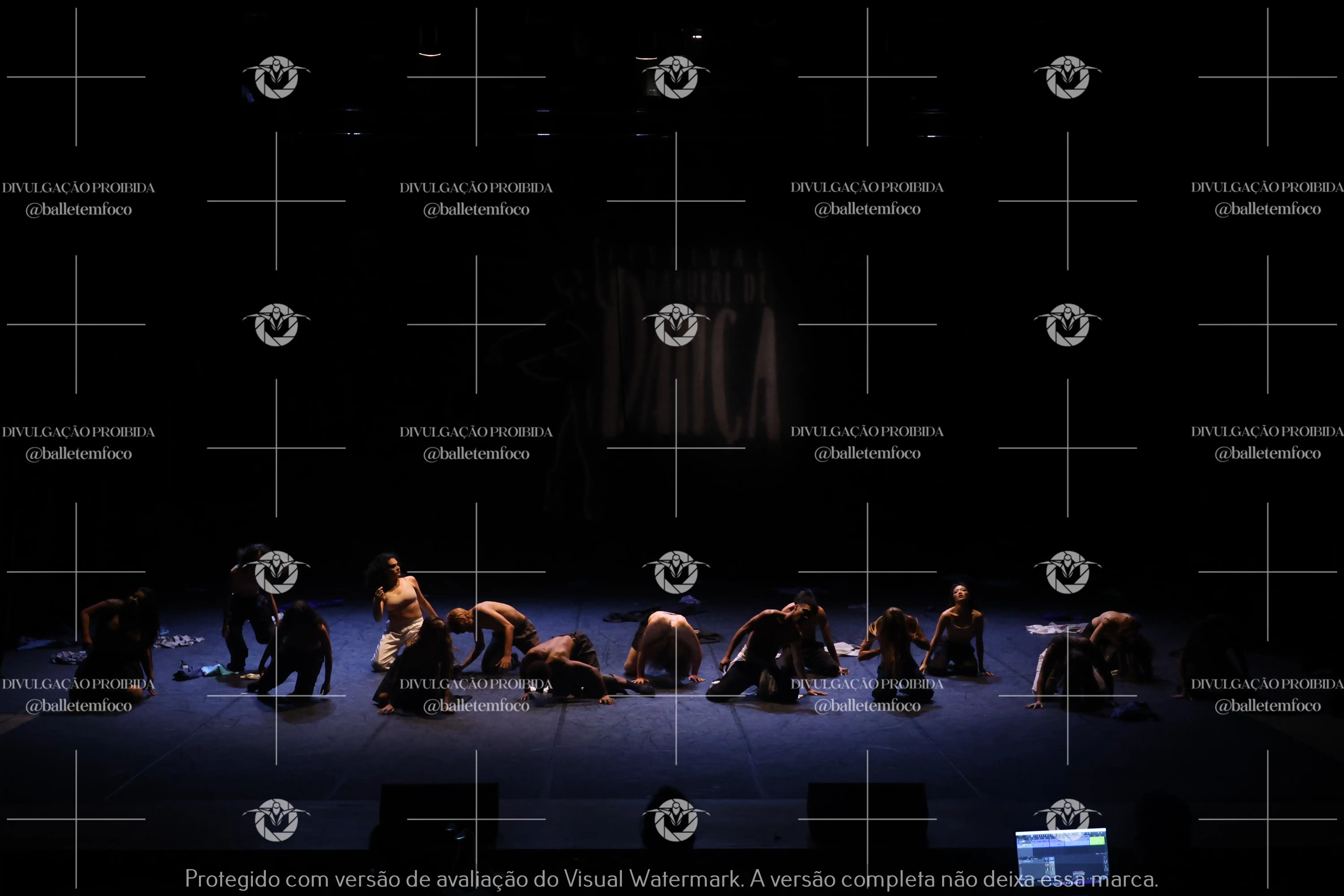 1325_221C (101).webp