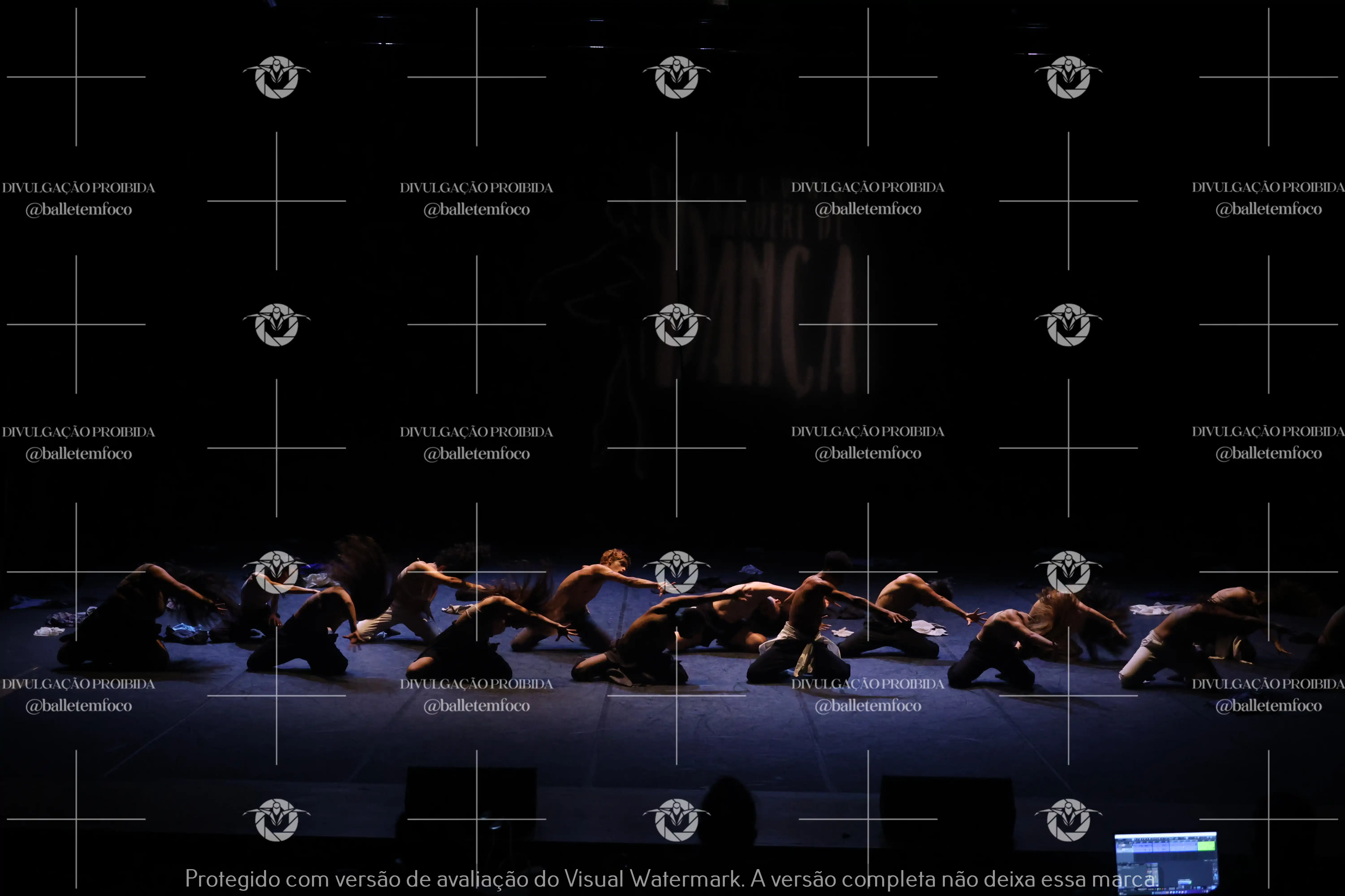 1325_221C (103).webp