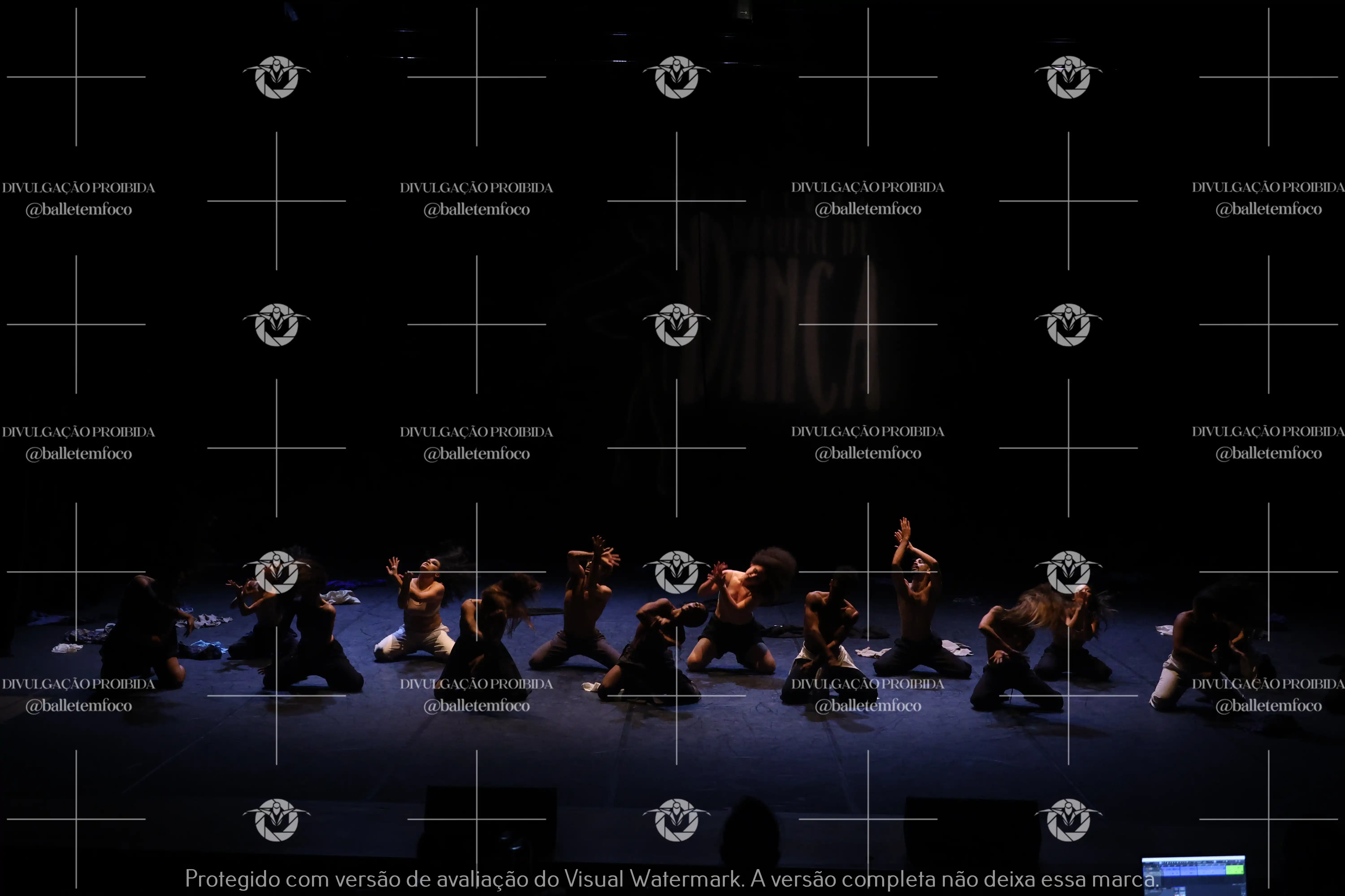 1325_221C (105).webp