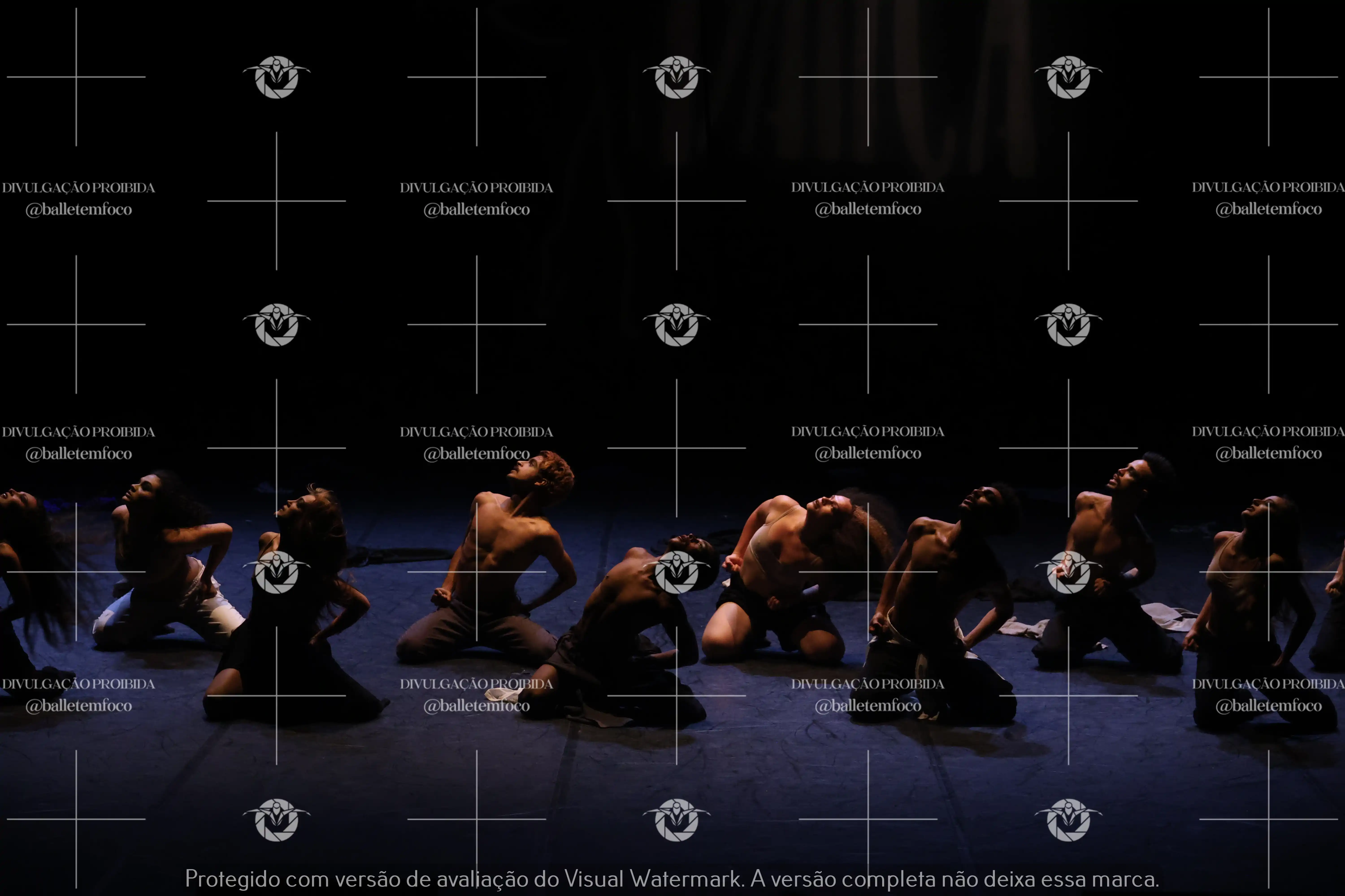 1325_221C (106).webp