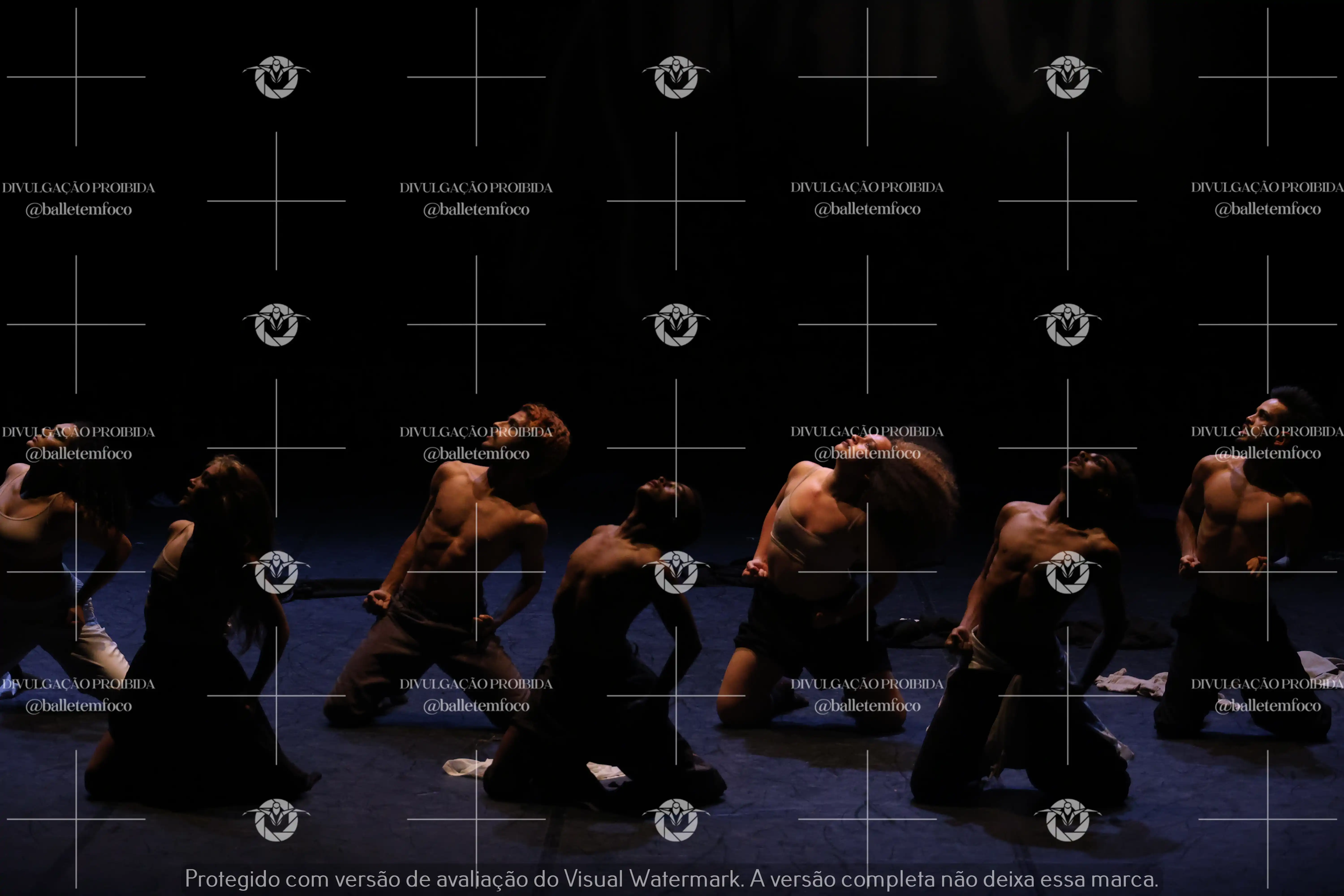 1325_221C (107).webp