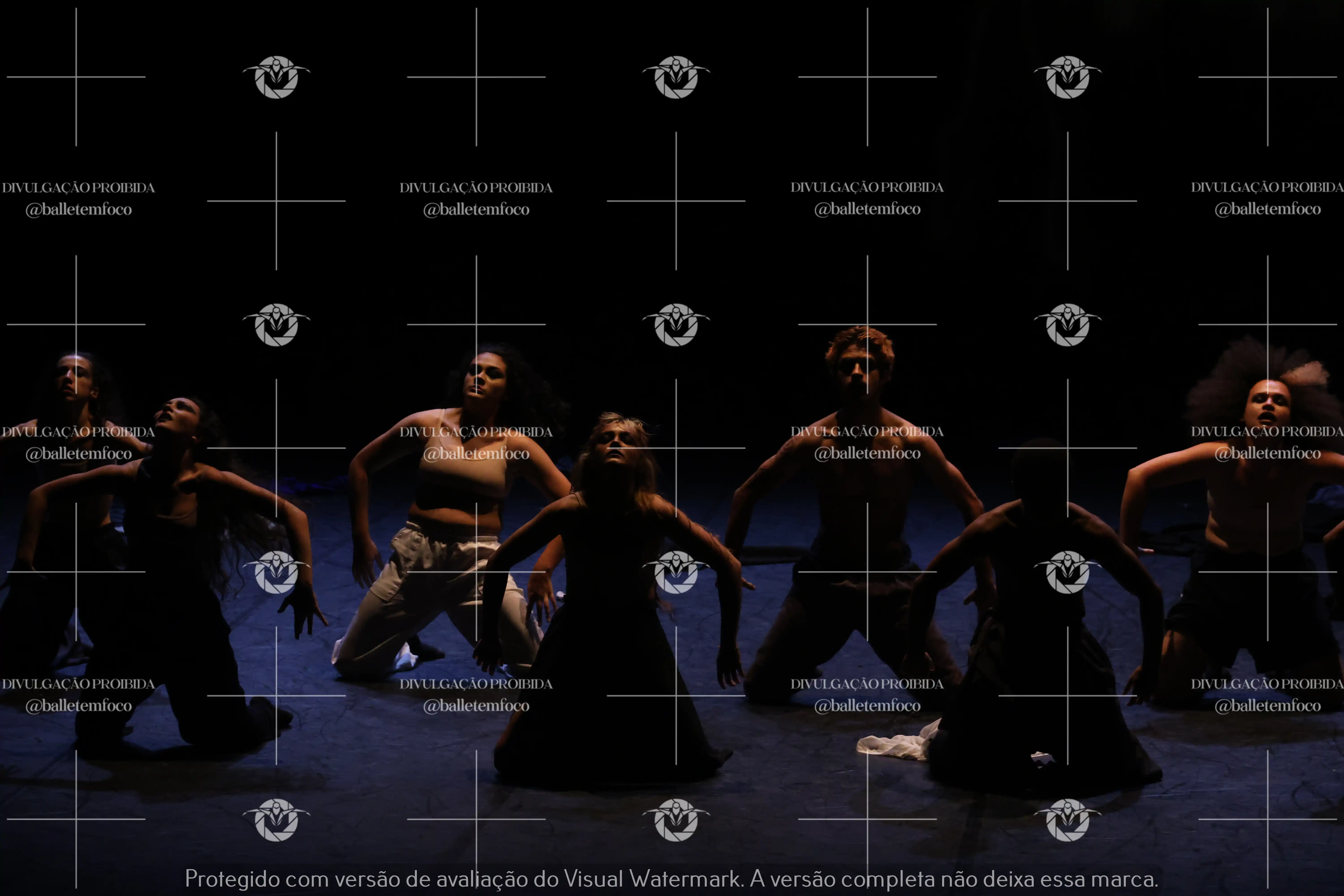 1325_221C (108).webp