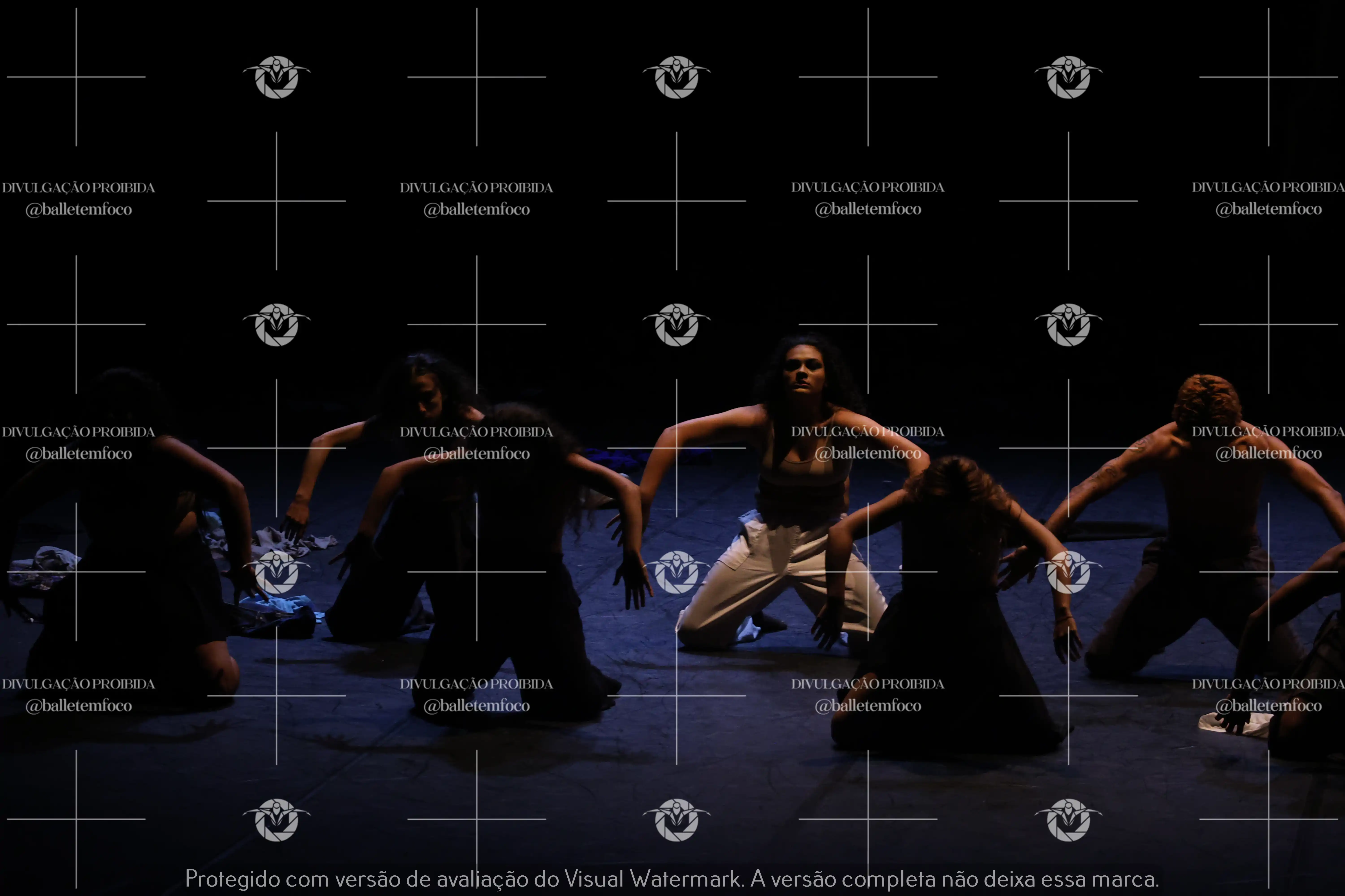 1325_221C (109).webp