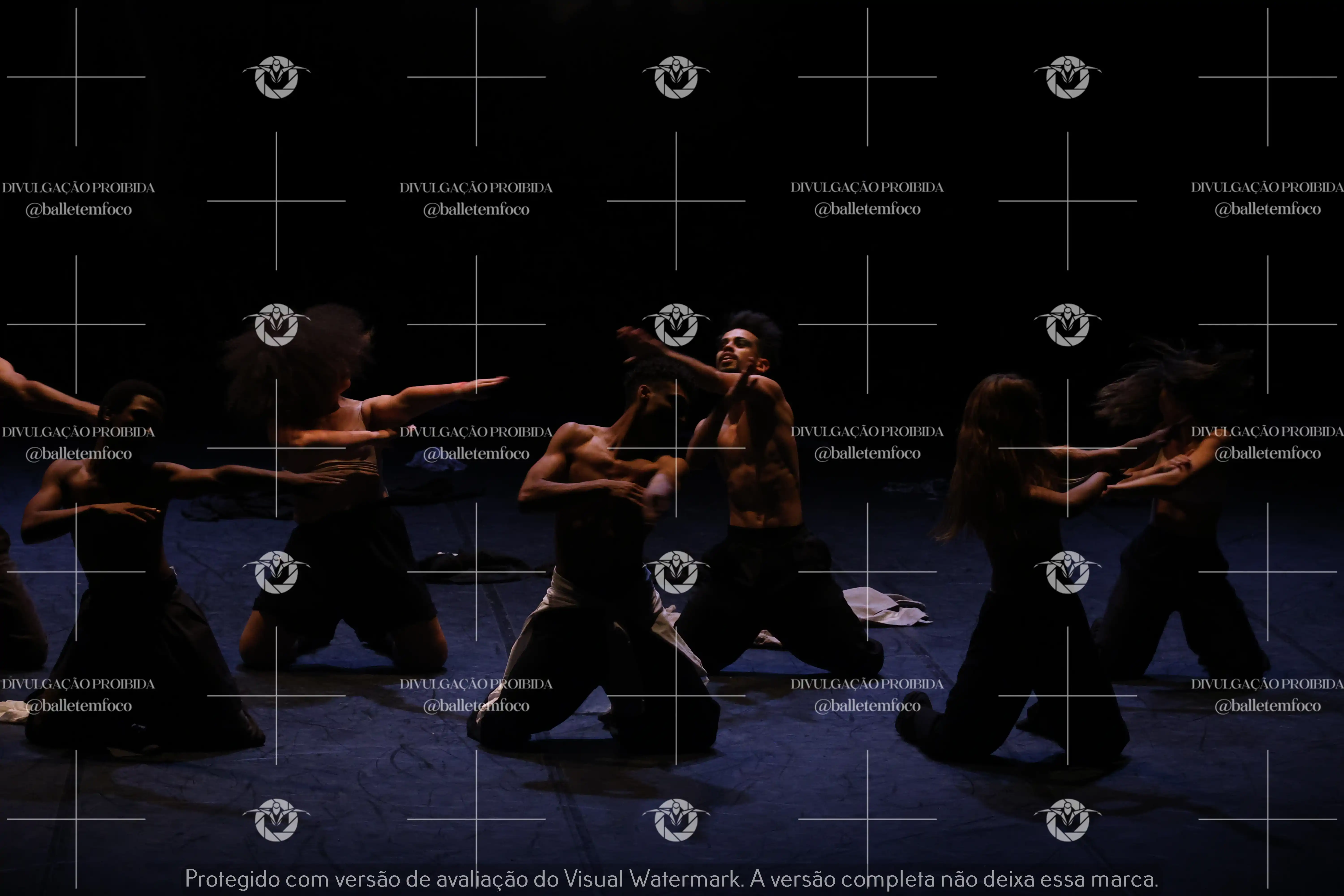 1325_221C (110).webp