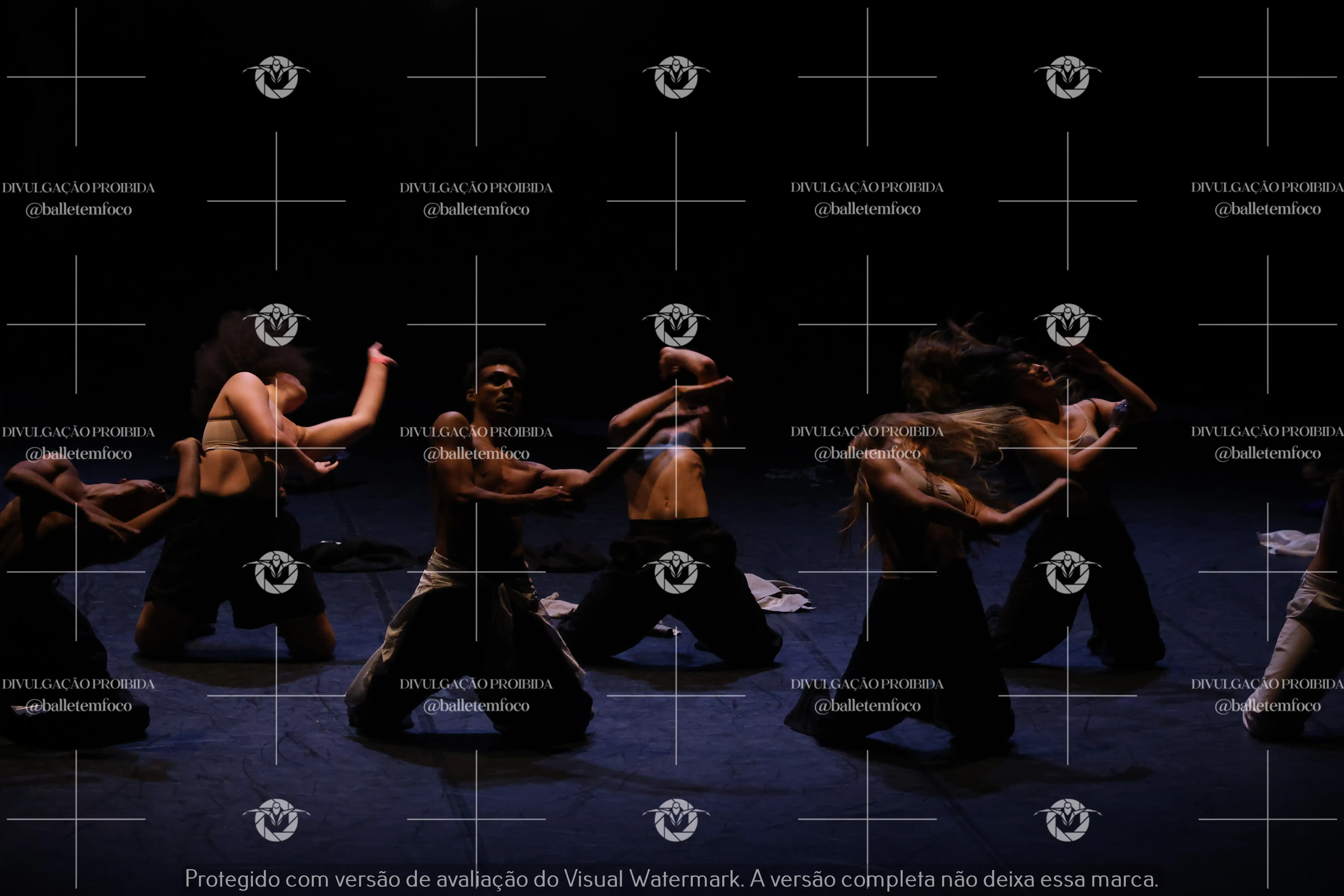 1325_221C (111).webp