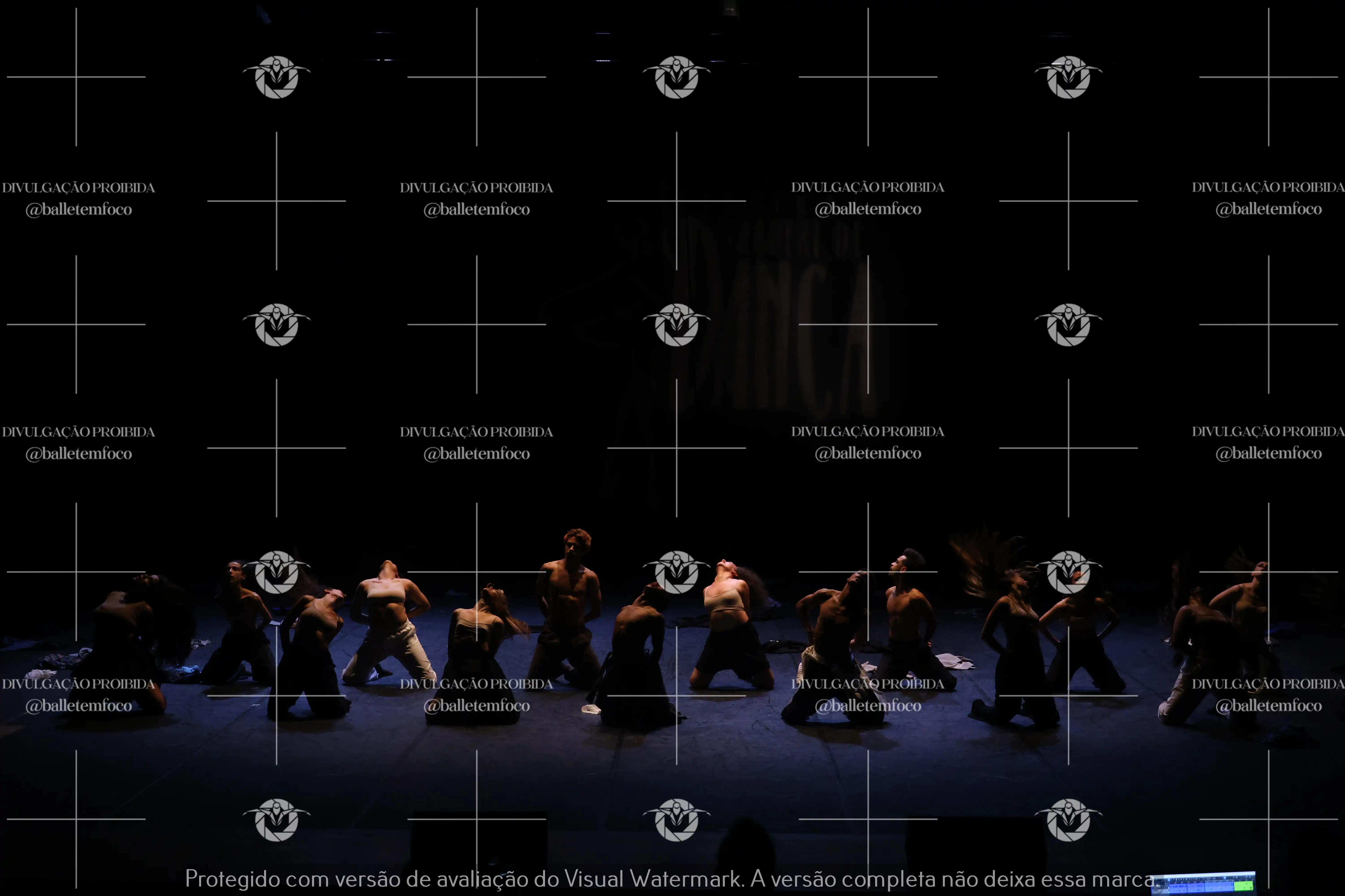 1325_221C (113).webp