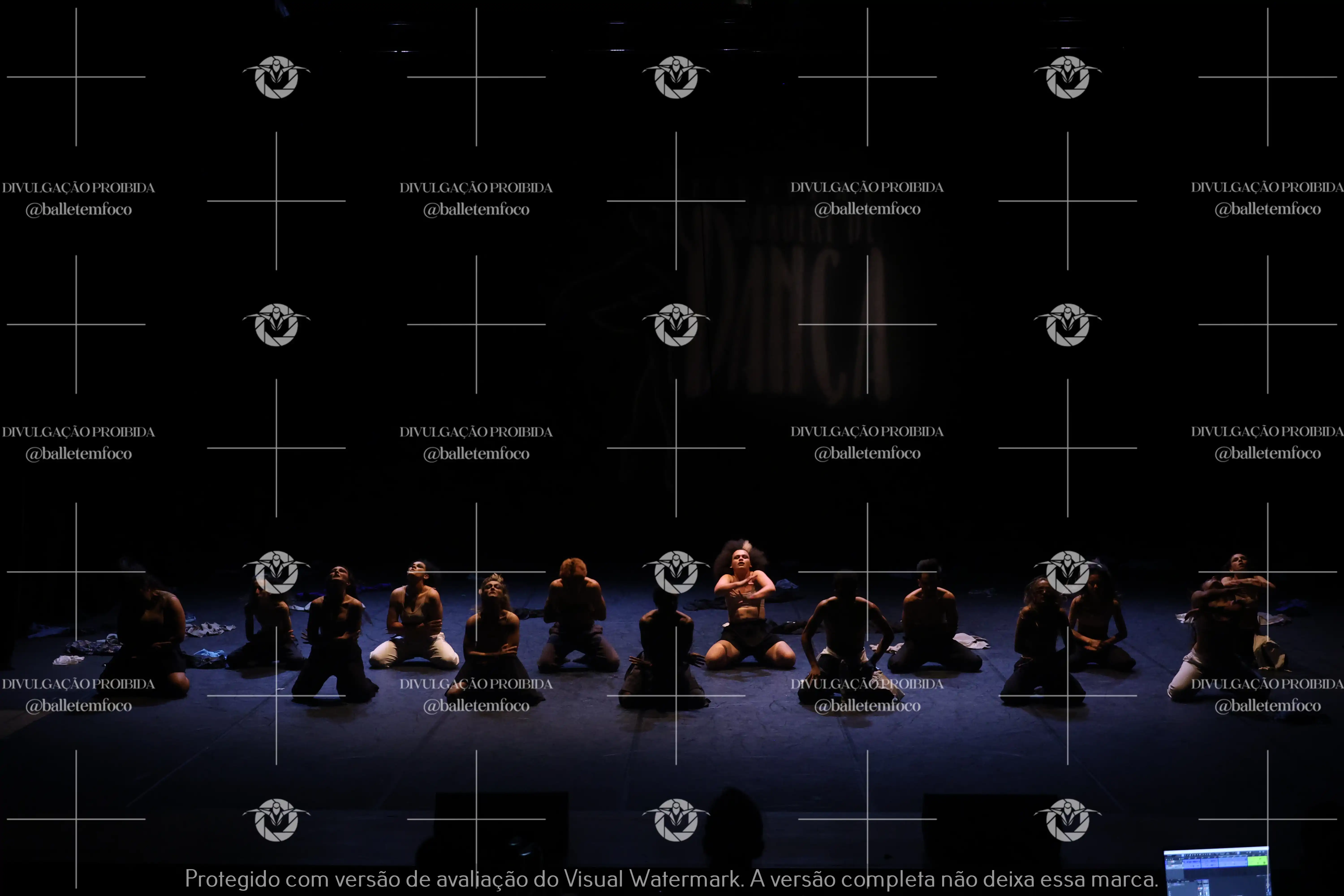 1325_221C (116).webp