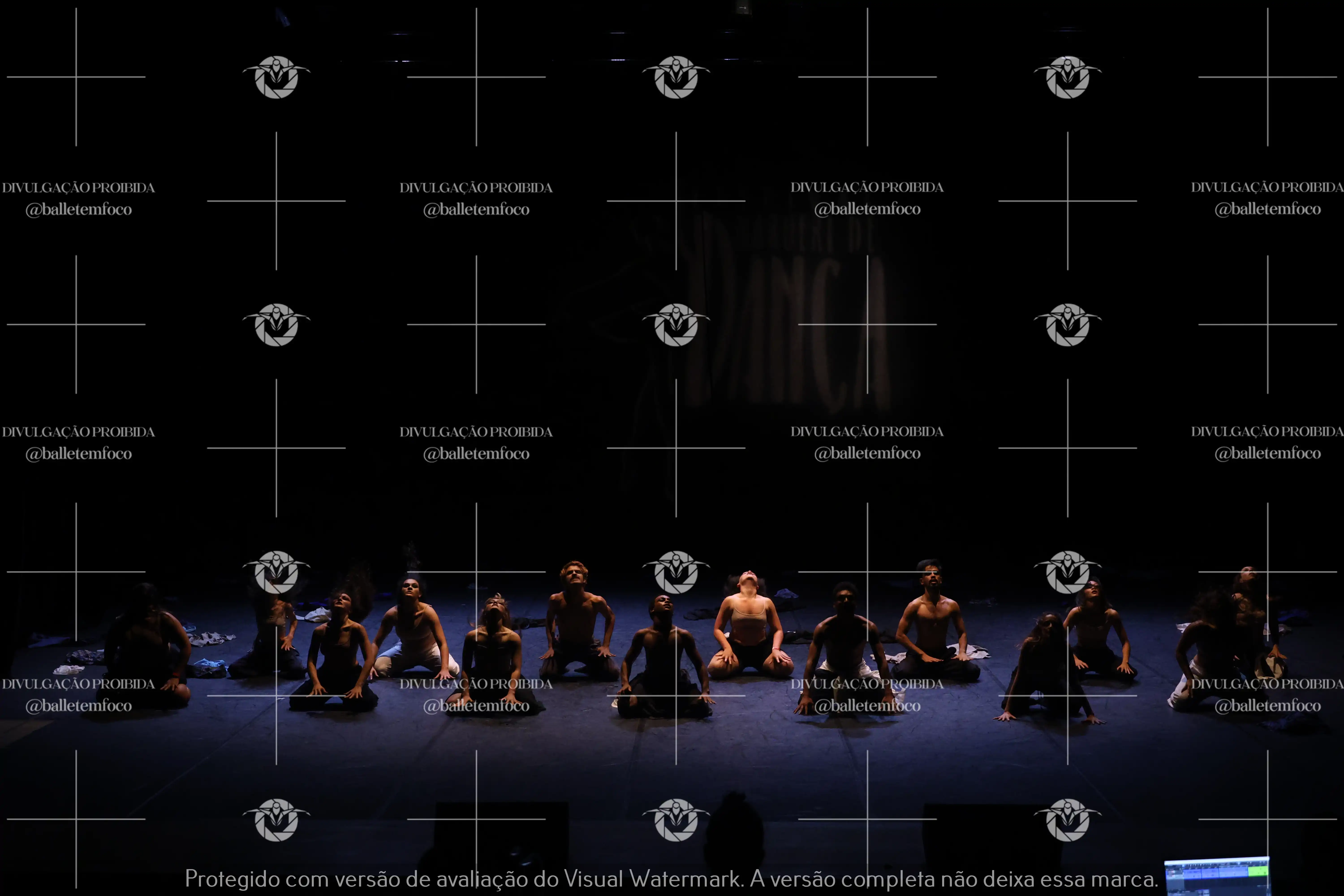 1325_221C (117).webp