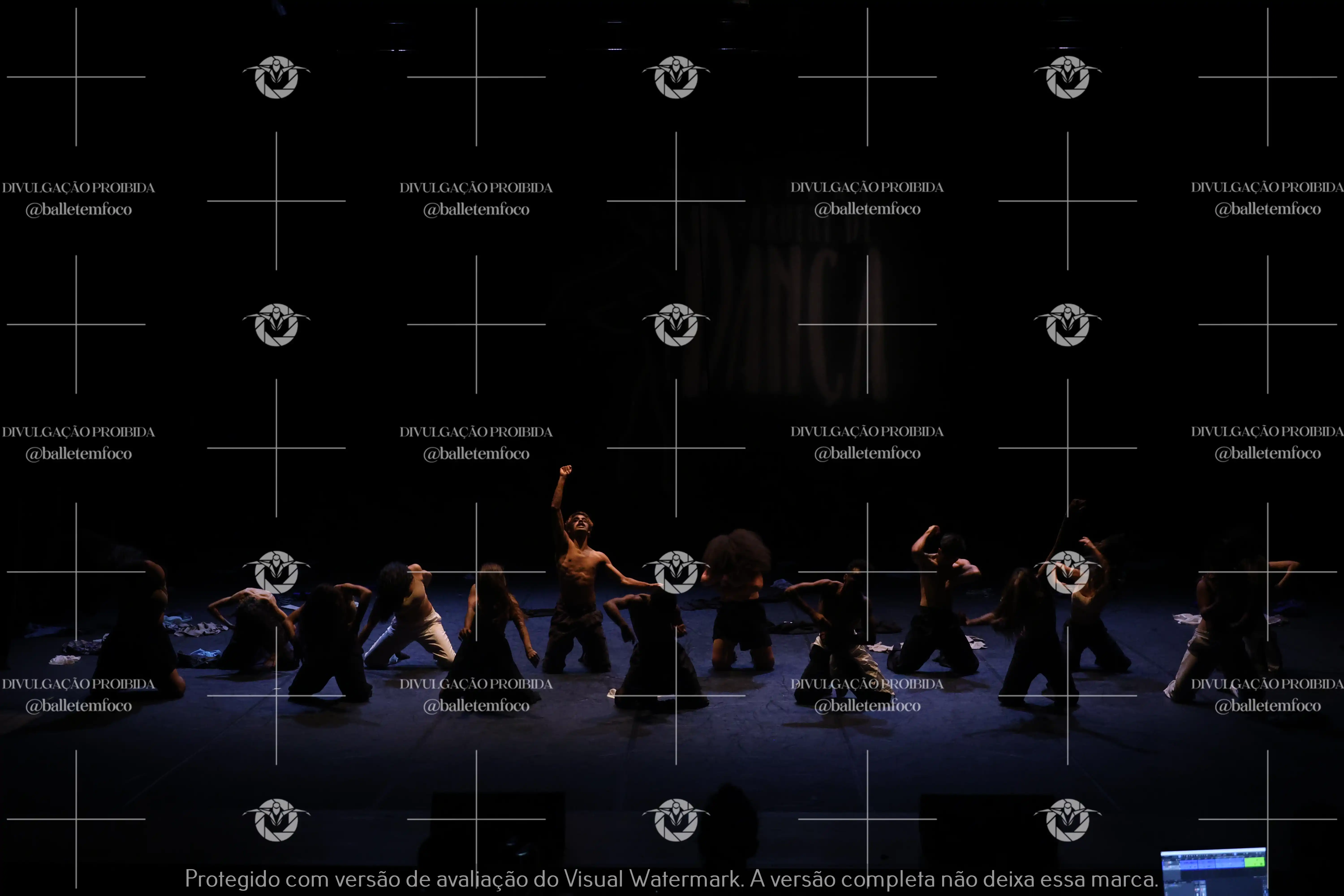 1325_221C (118).webp