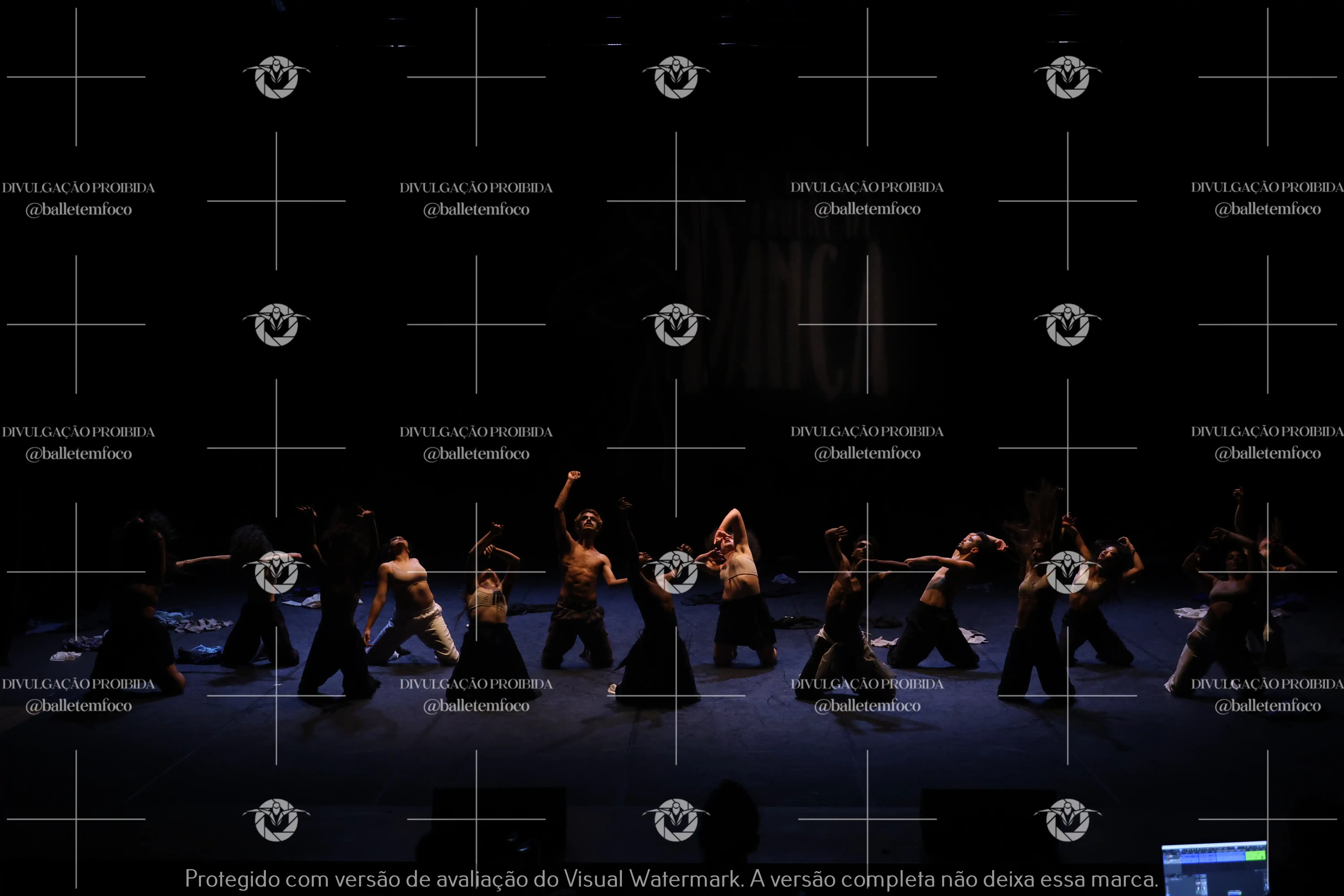 1325_221C (119).webp