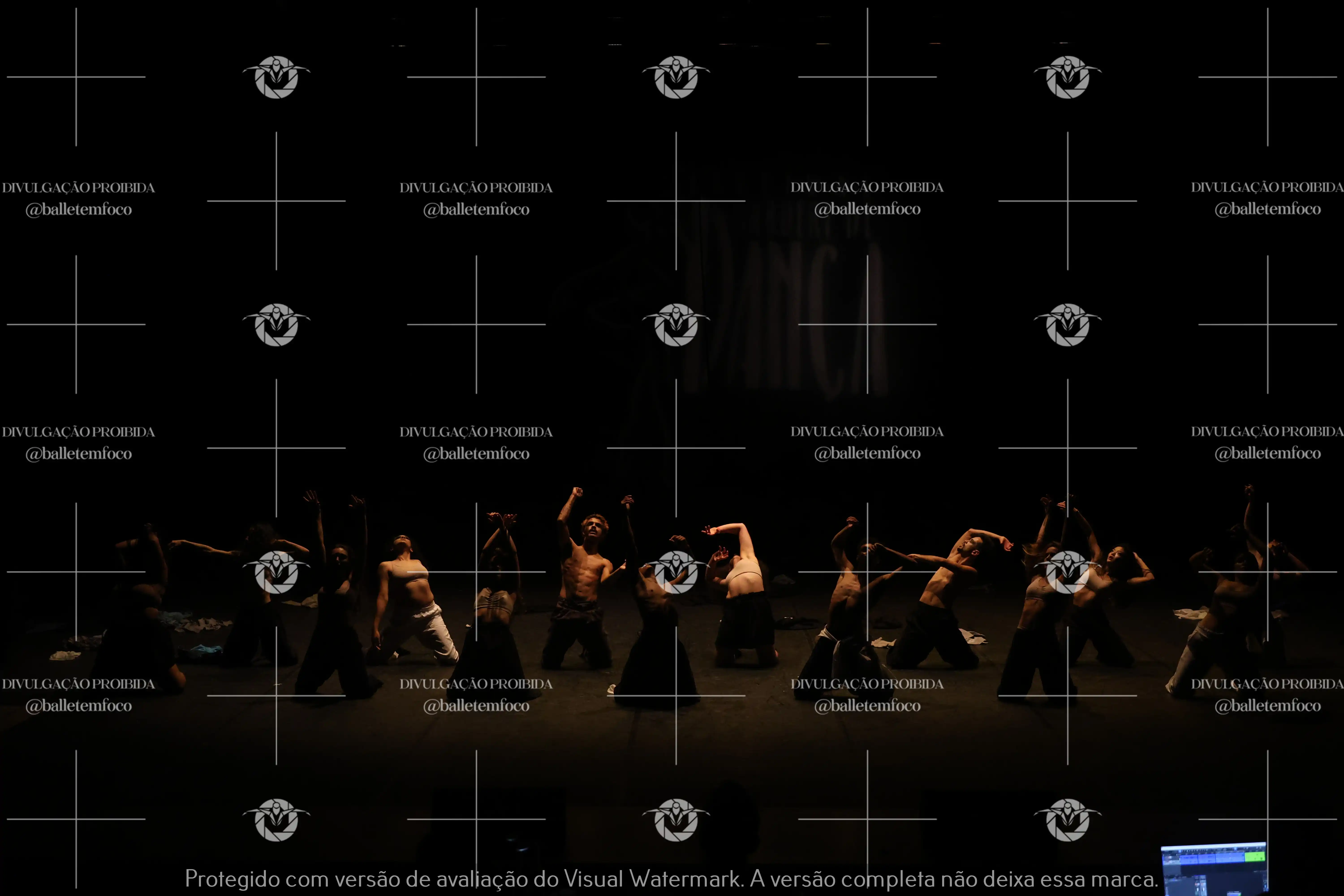 1325_221C (121).webp