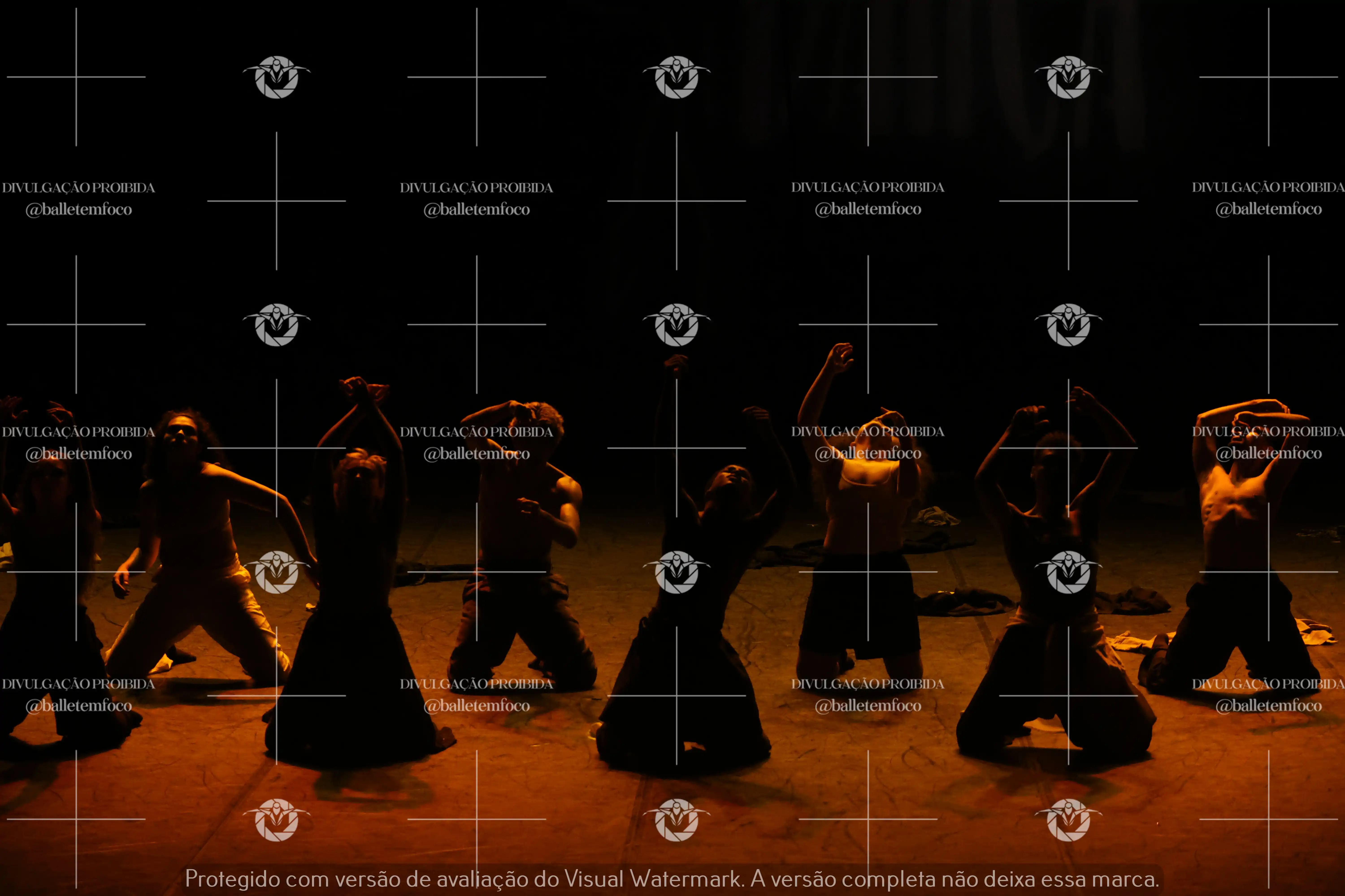 1325_221C (122).webp