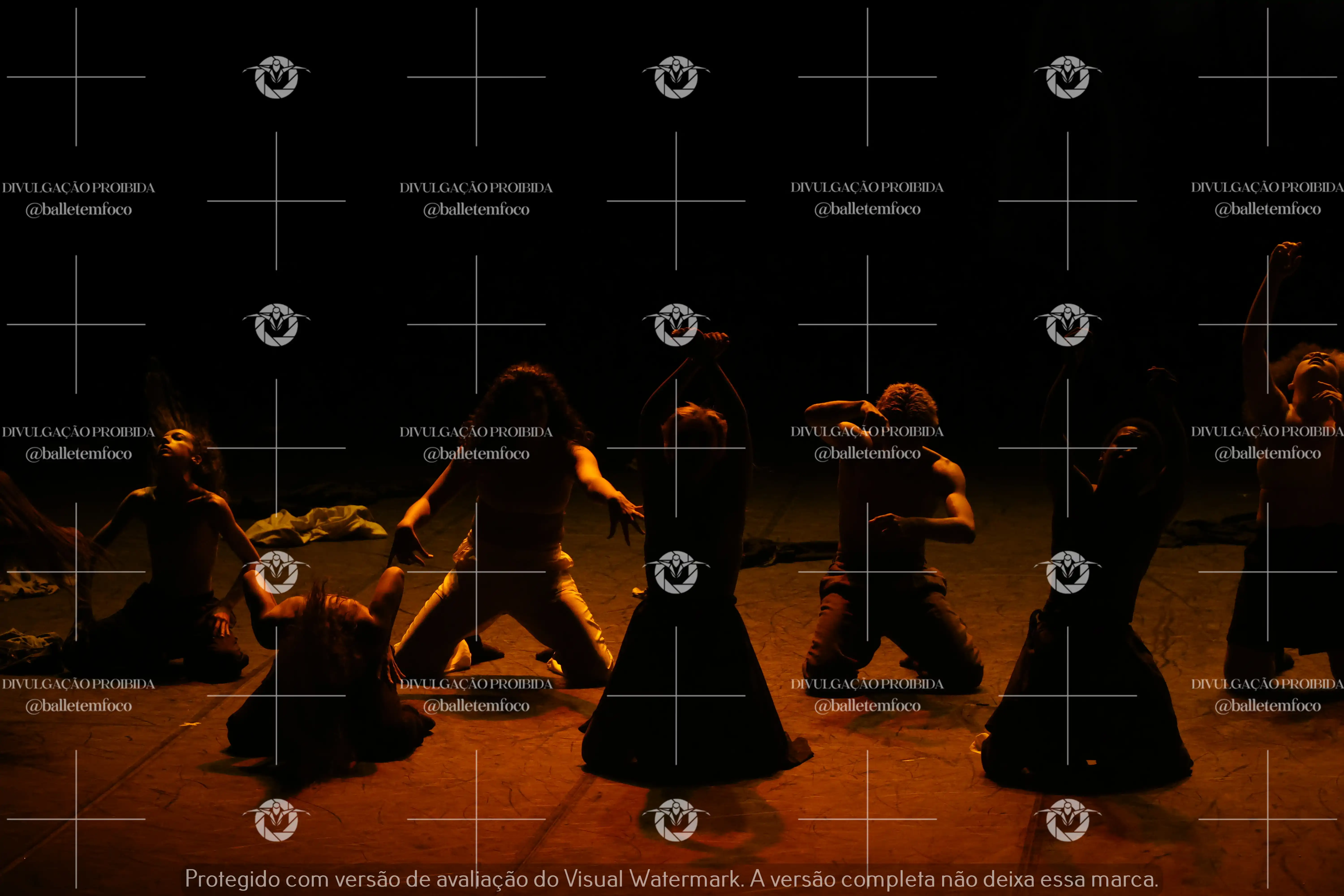 1325_221C (123).webp