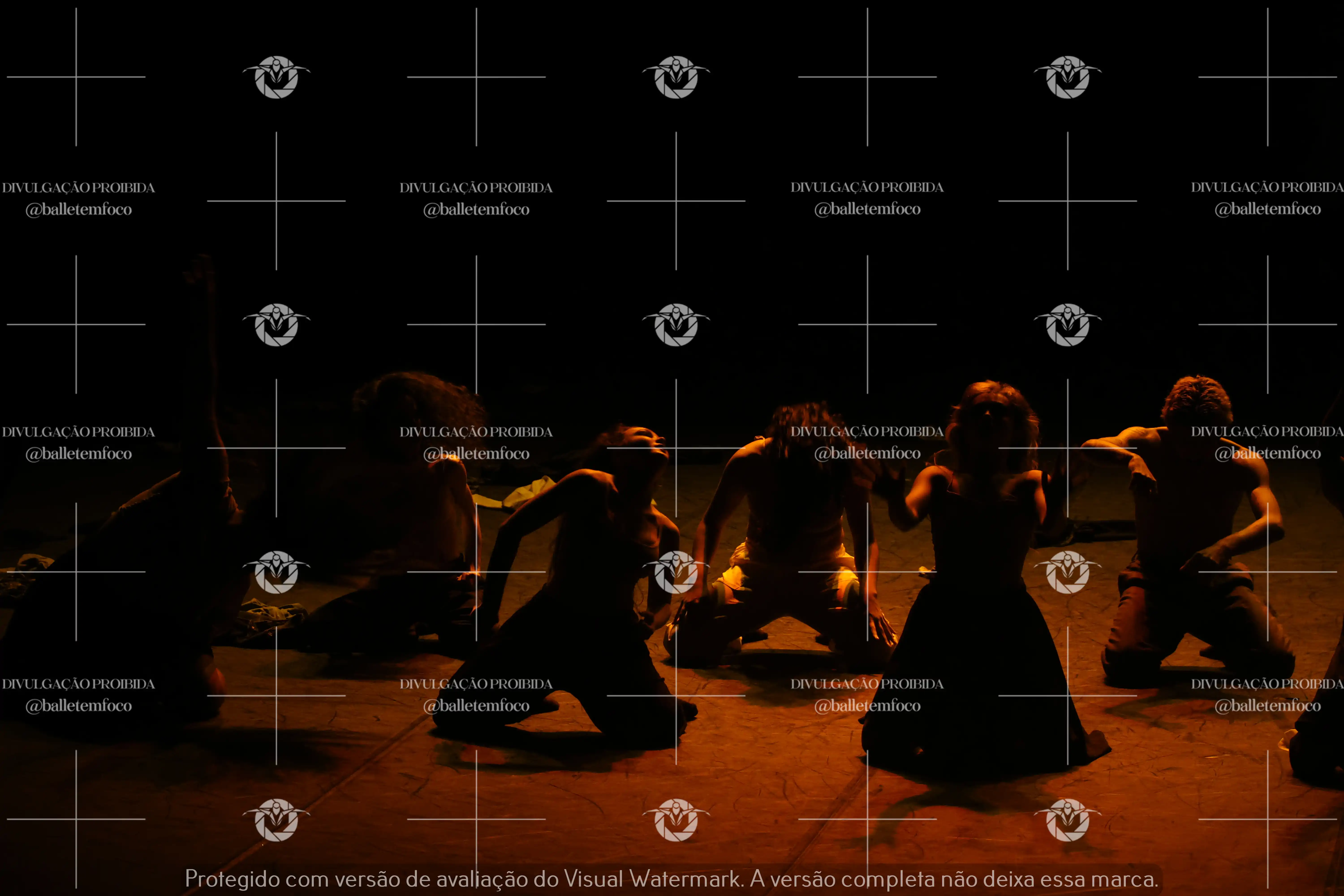 1325_221C (124).webp