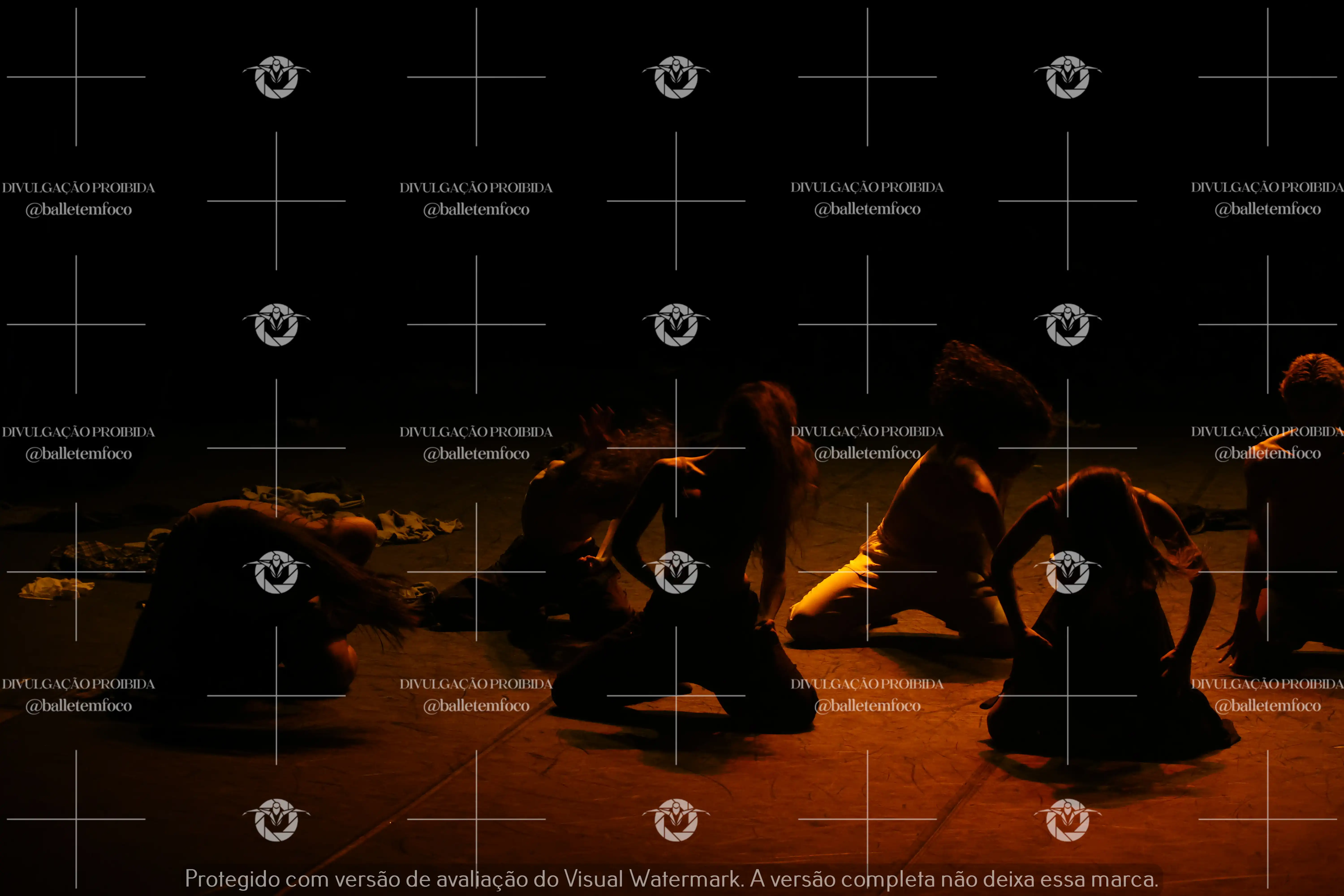 1325_221C (125).webp