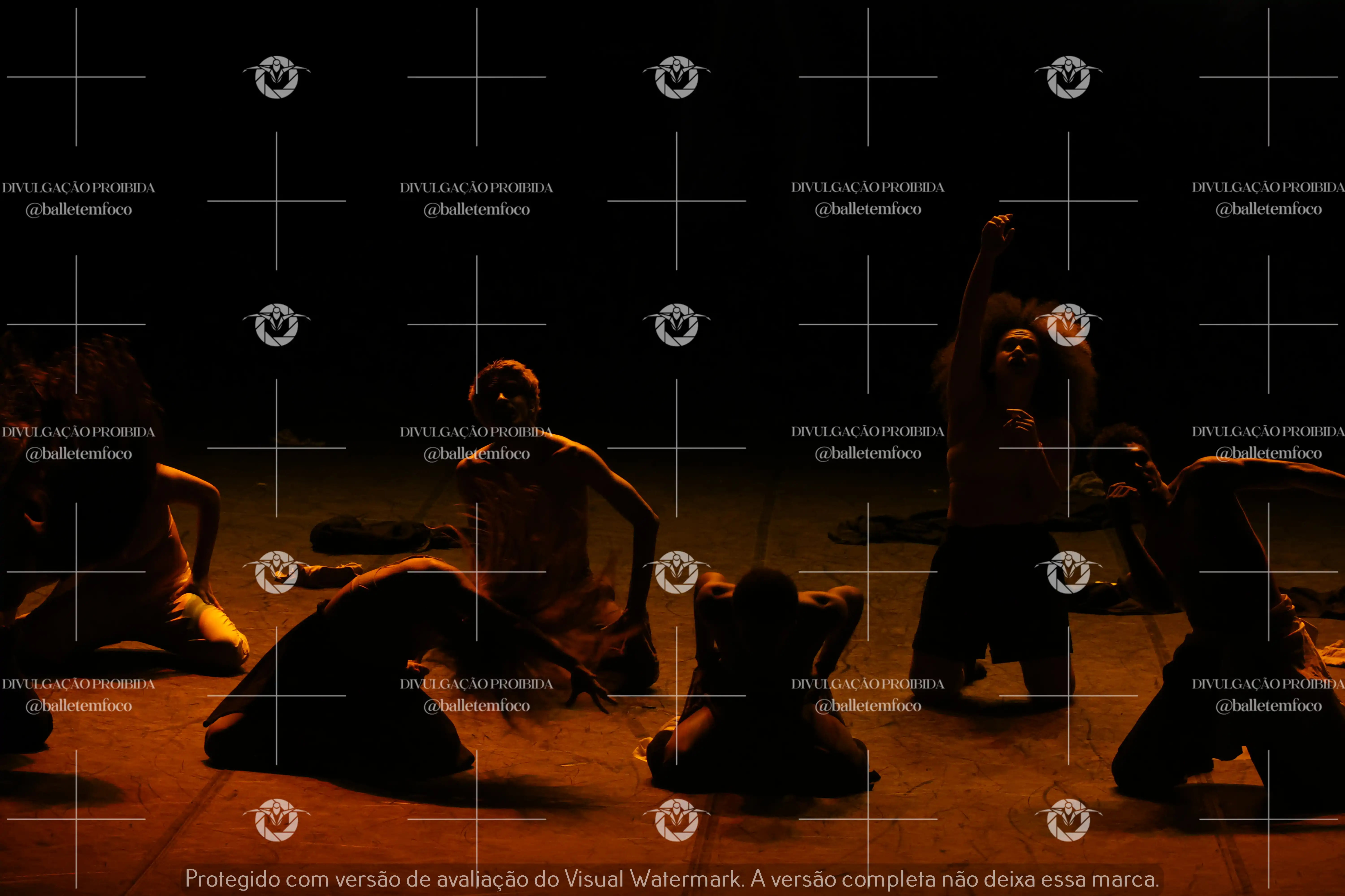 1325_221C (126).webp