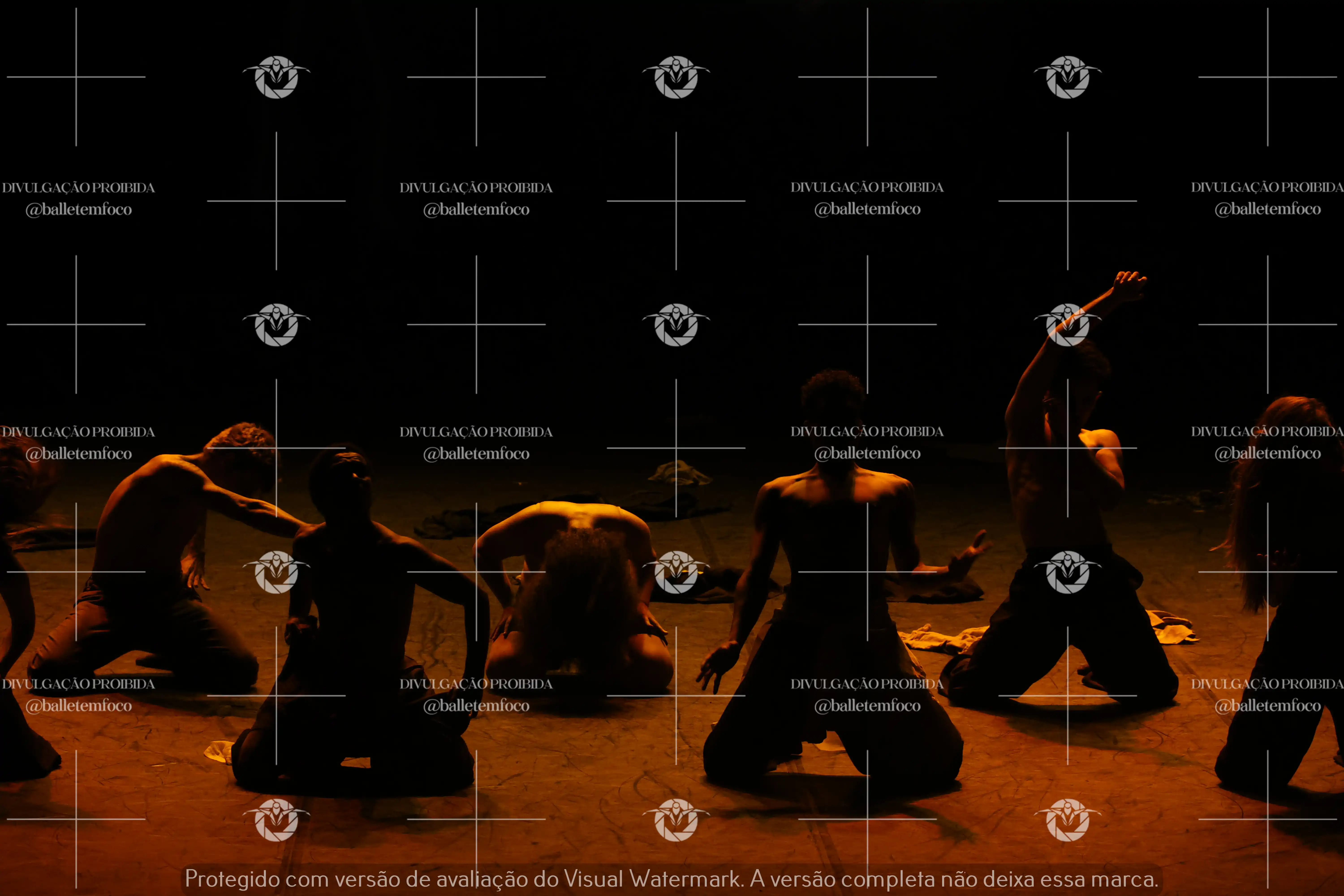 1325_221C (127).webp