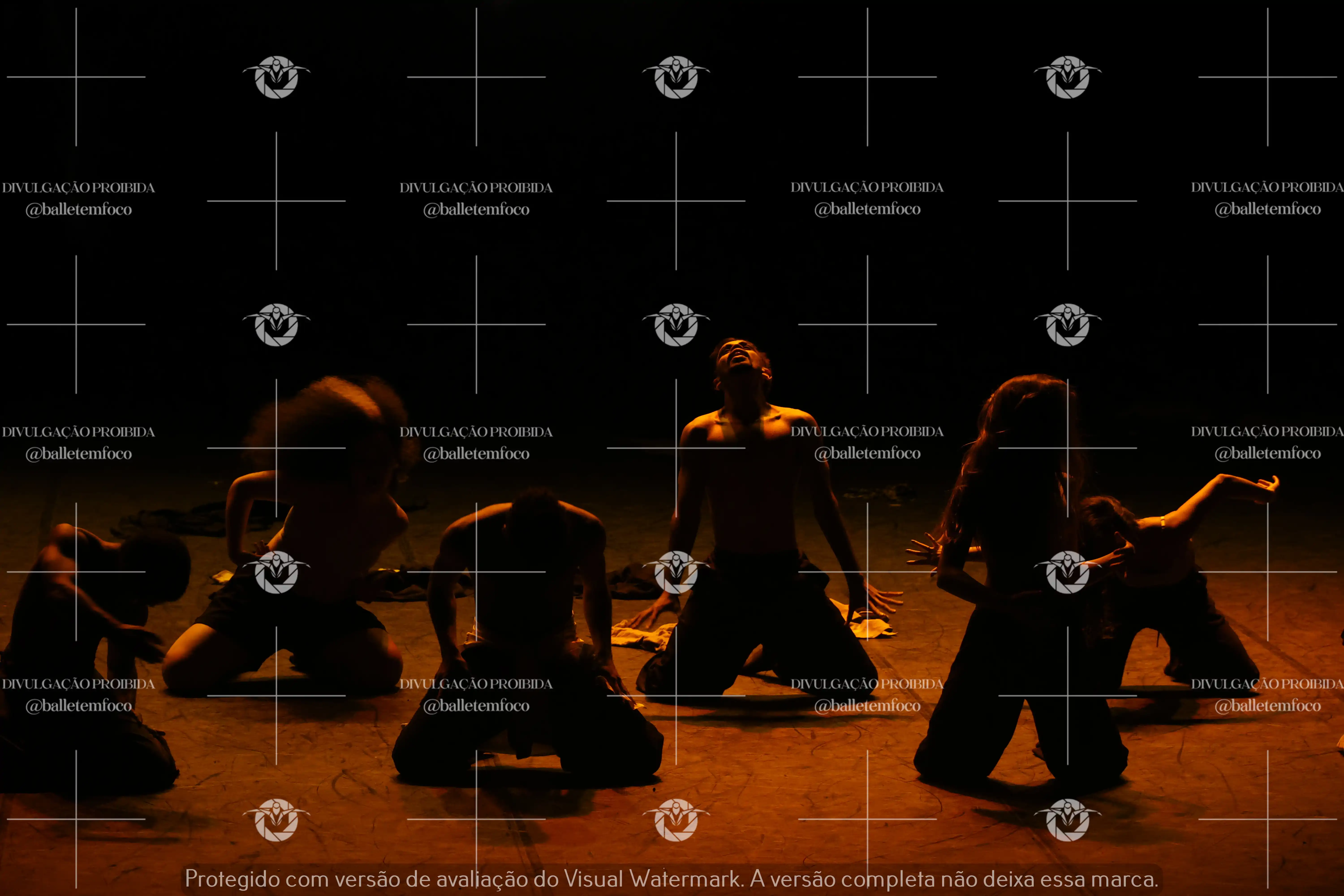 1325_221C (128).webp