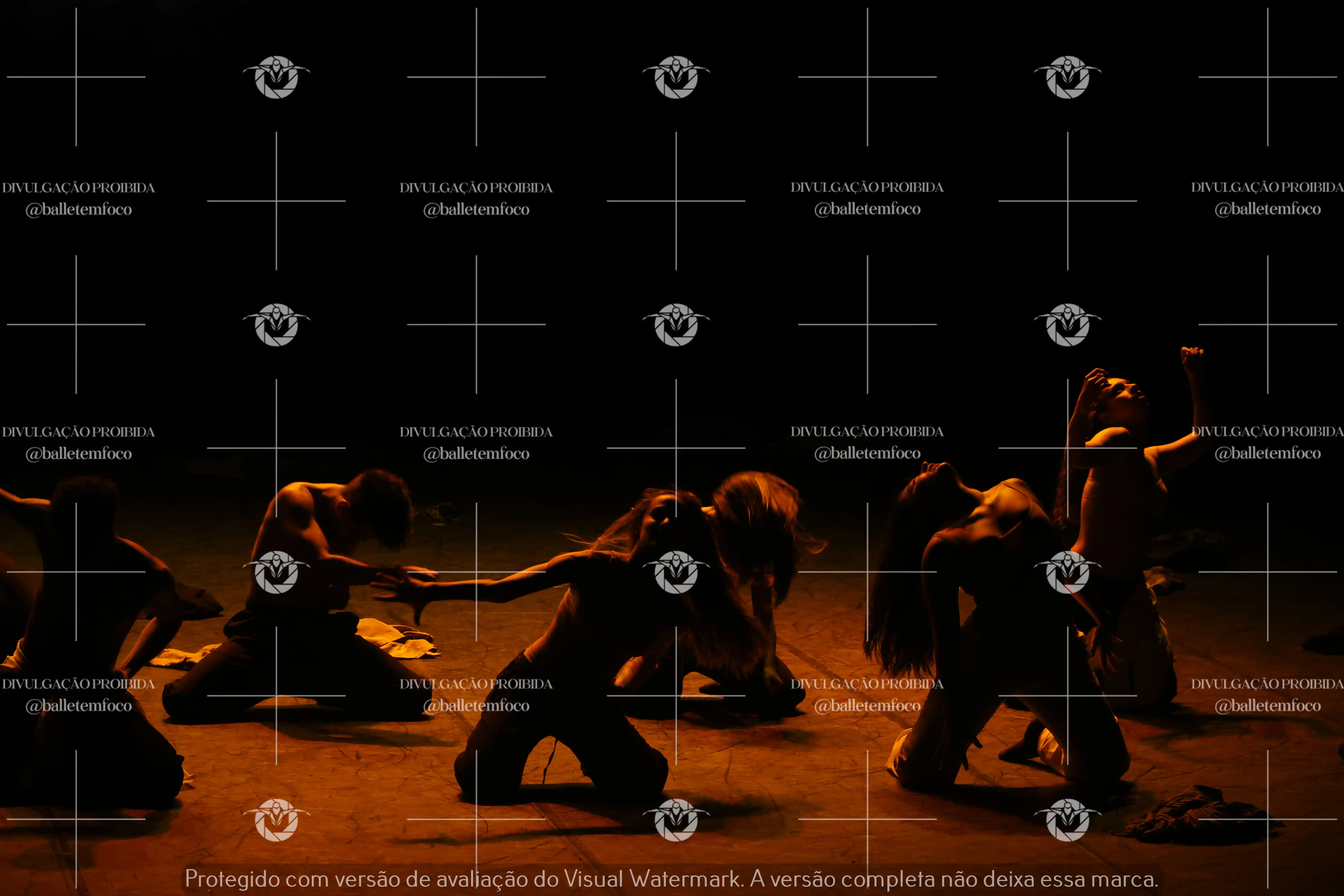 1325_221C (131).webp