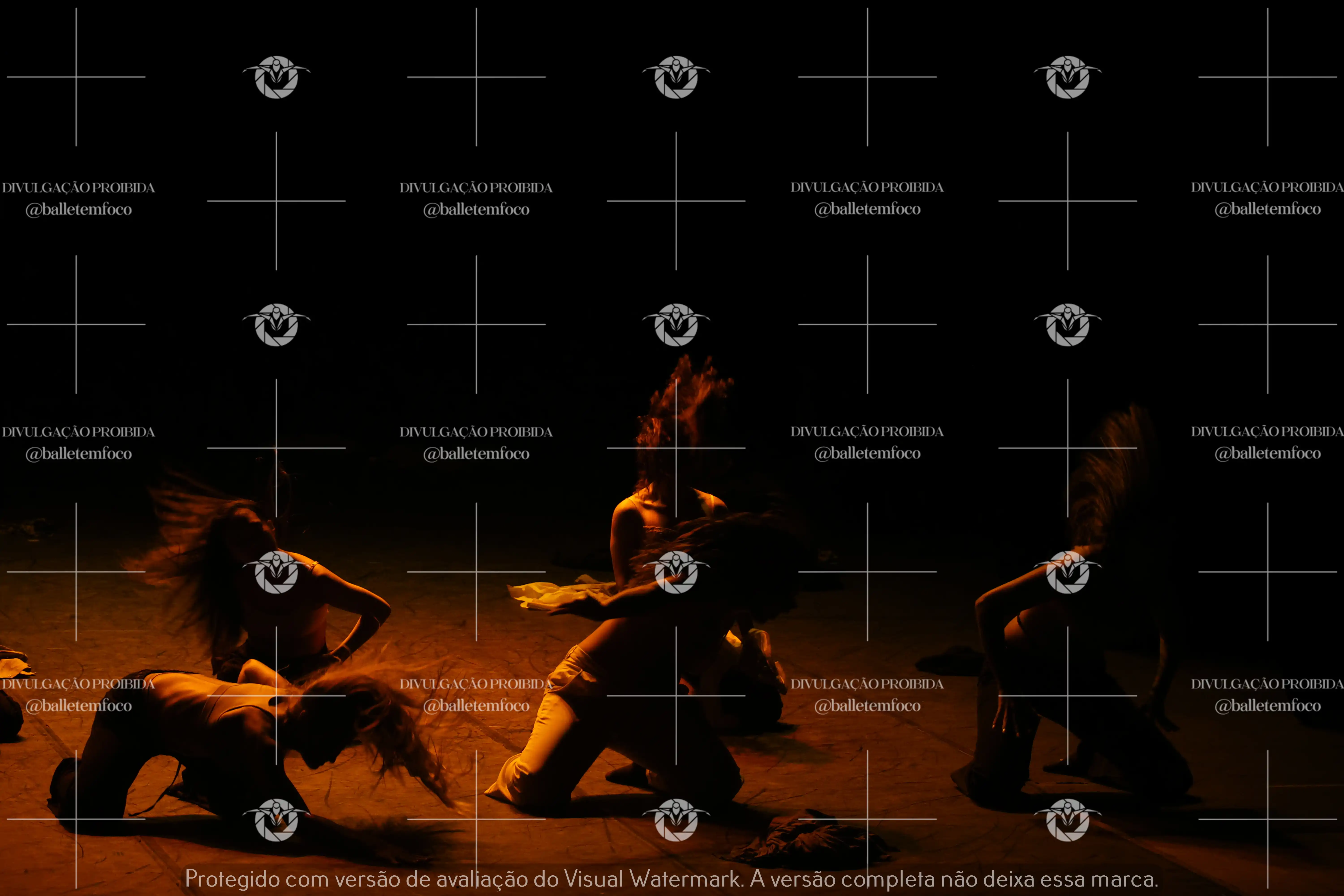 1325_221C (133).webp