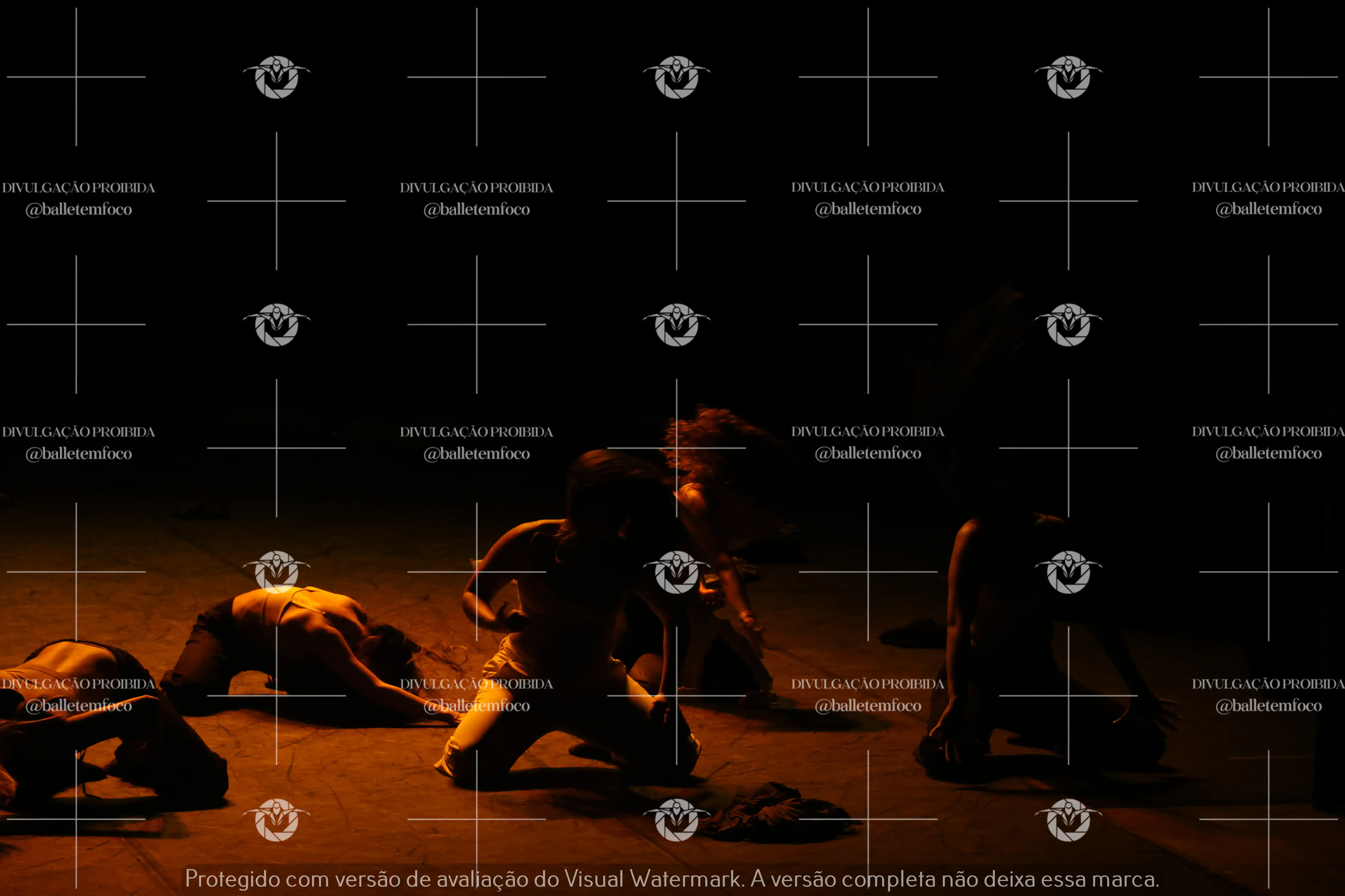 1325_221C (134).webp