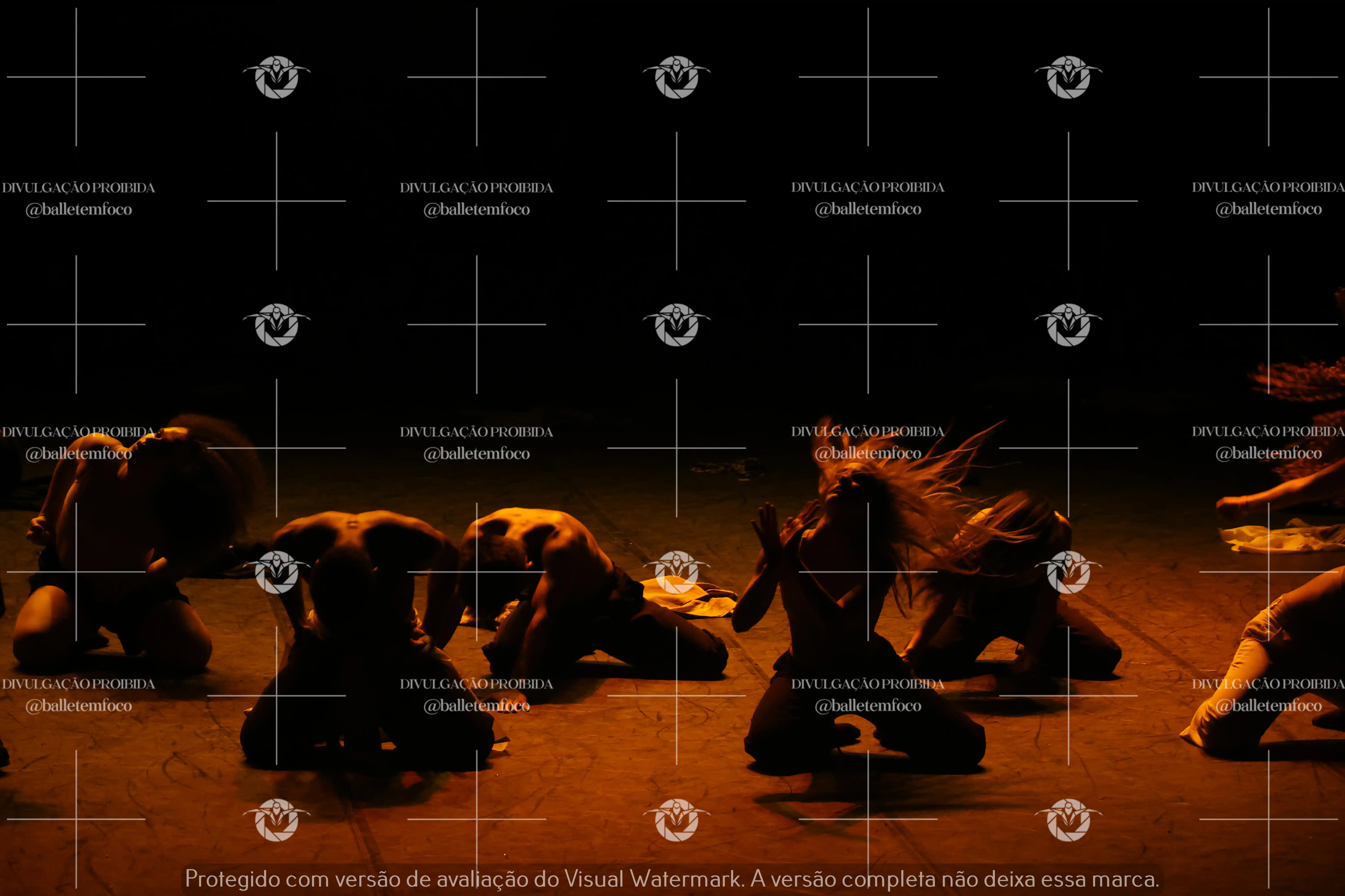 1325_221C (135).webp