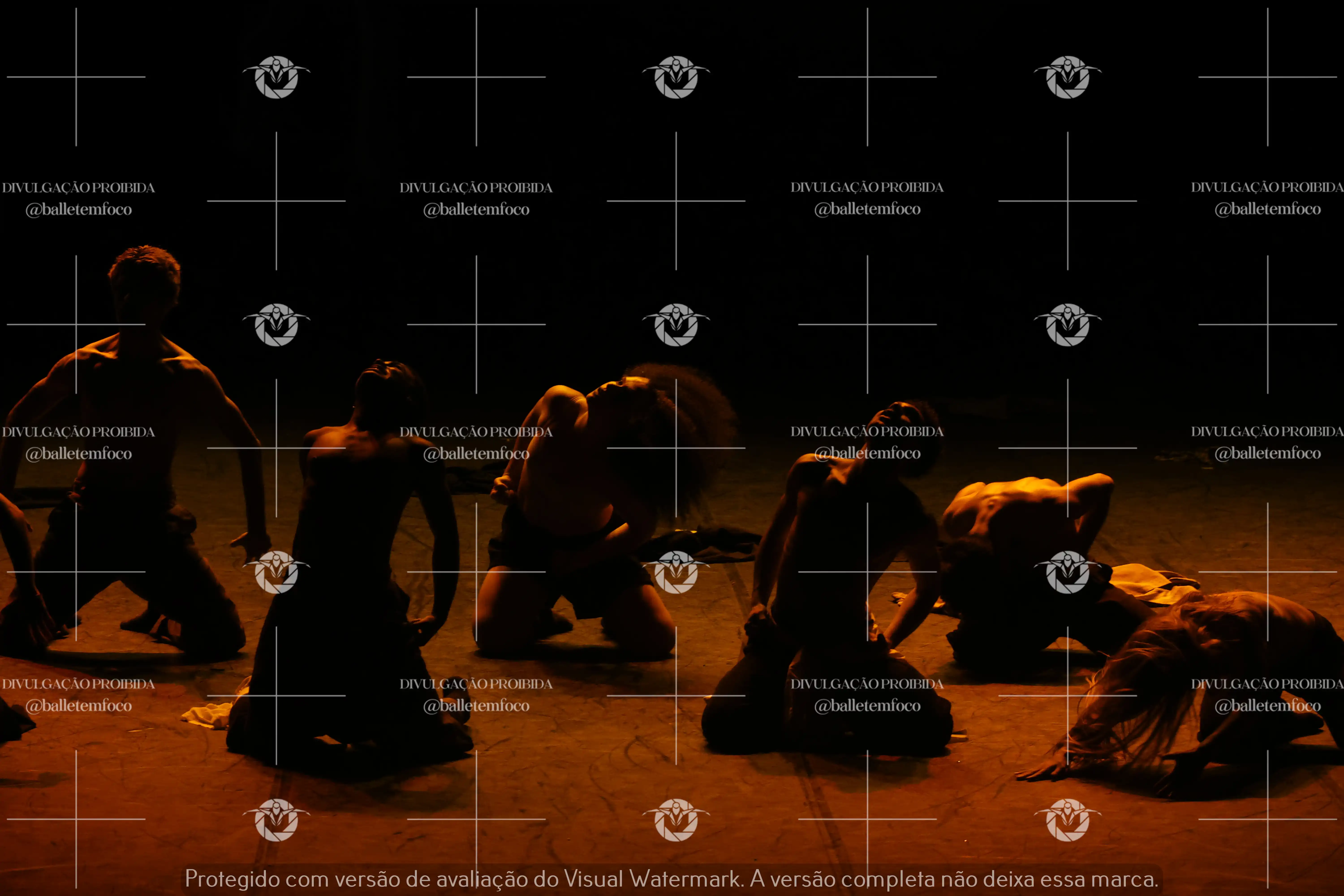 1325_221C (136).webp