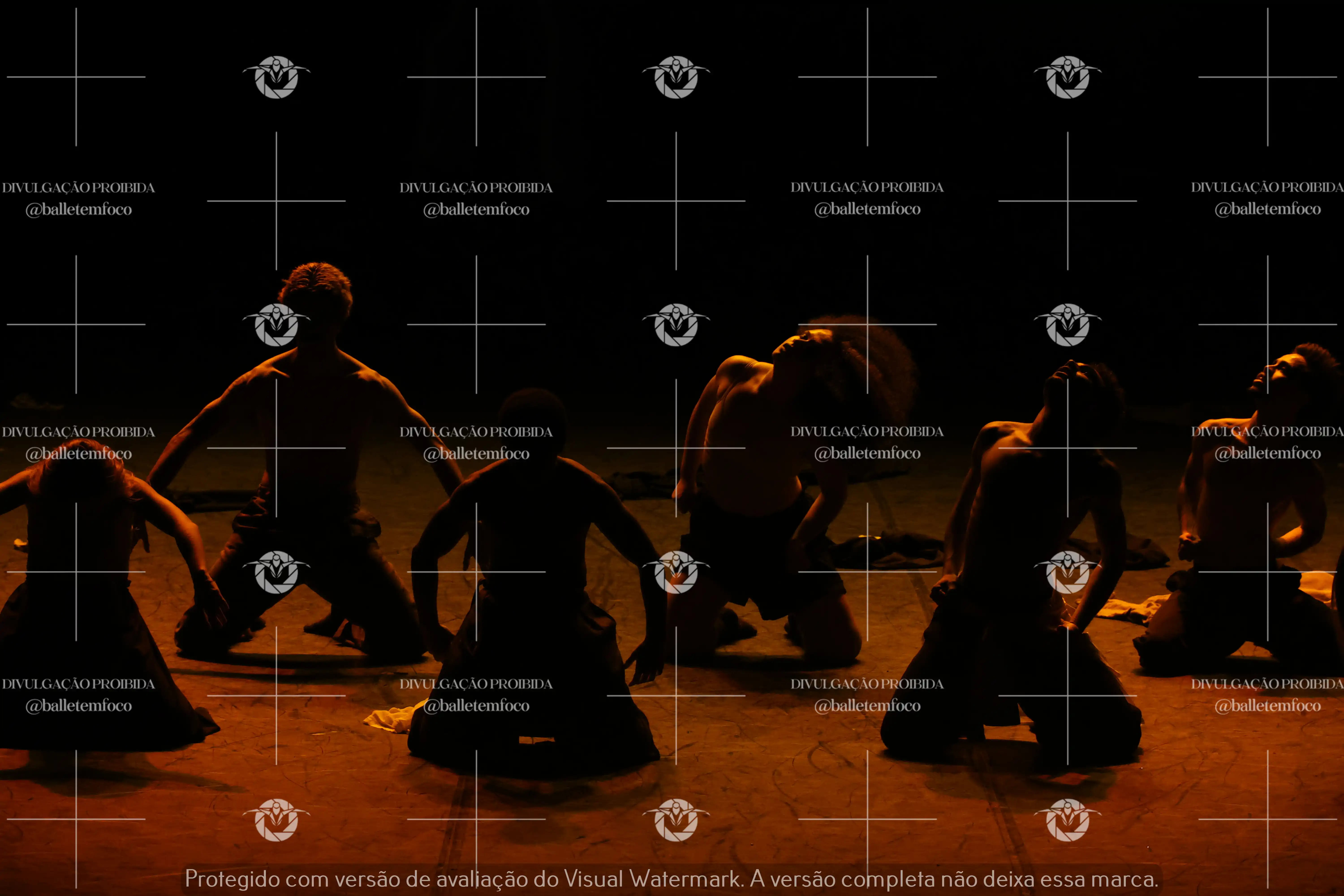 1325_221C (137).webp