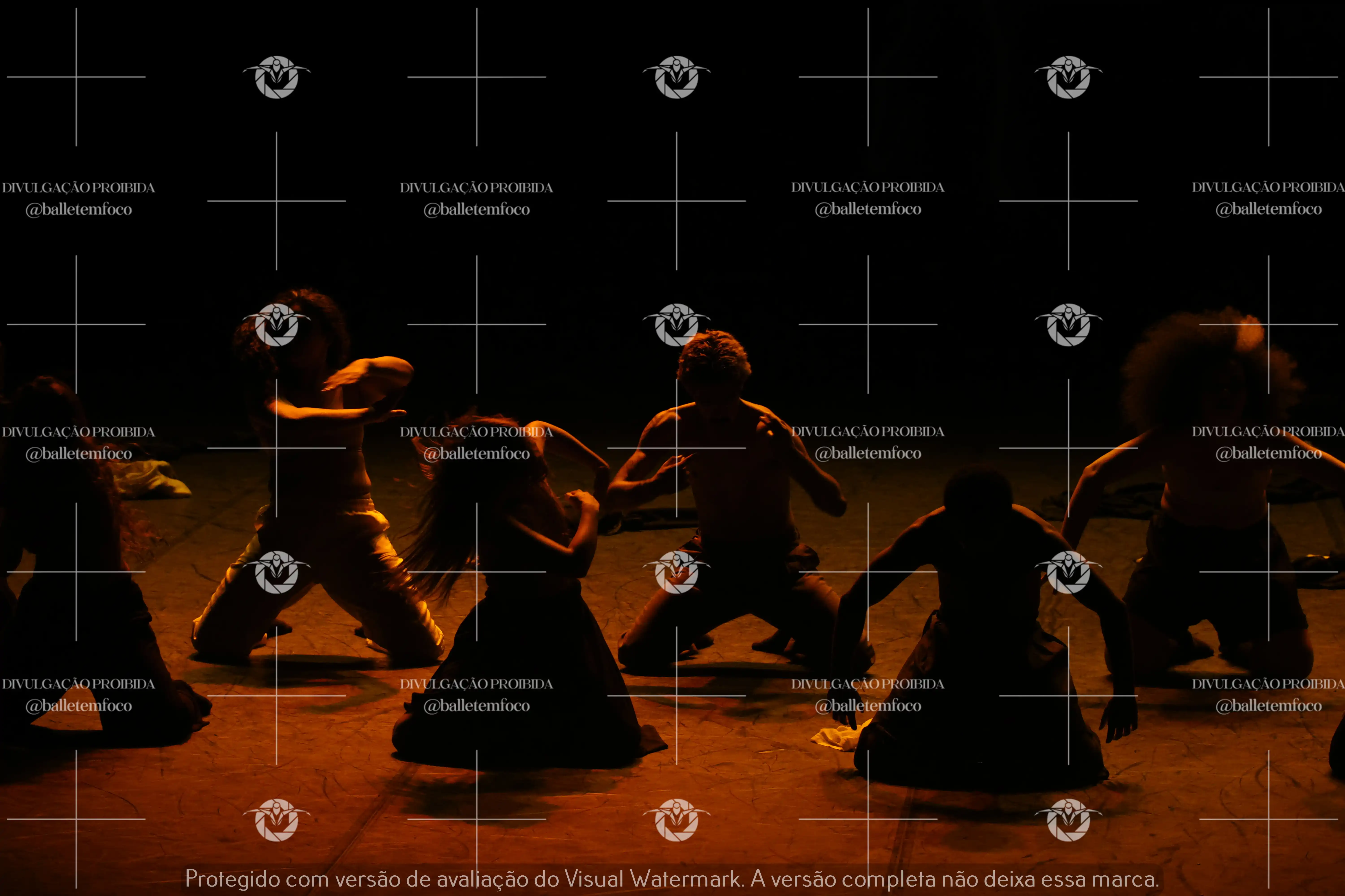 1325_221C (138).webp