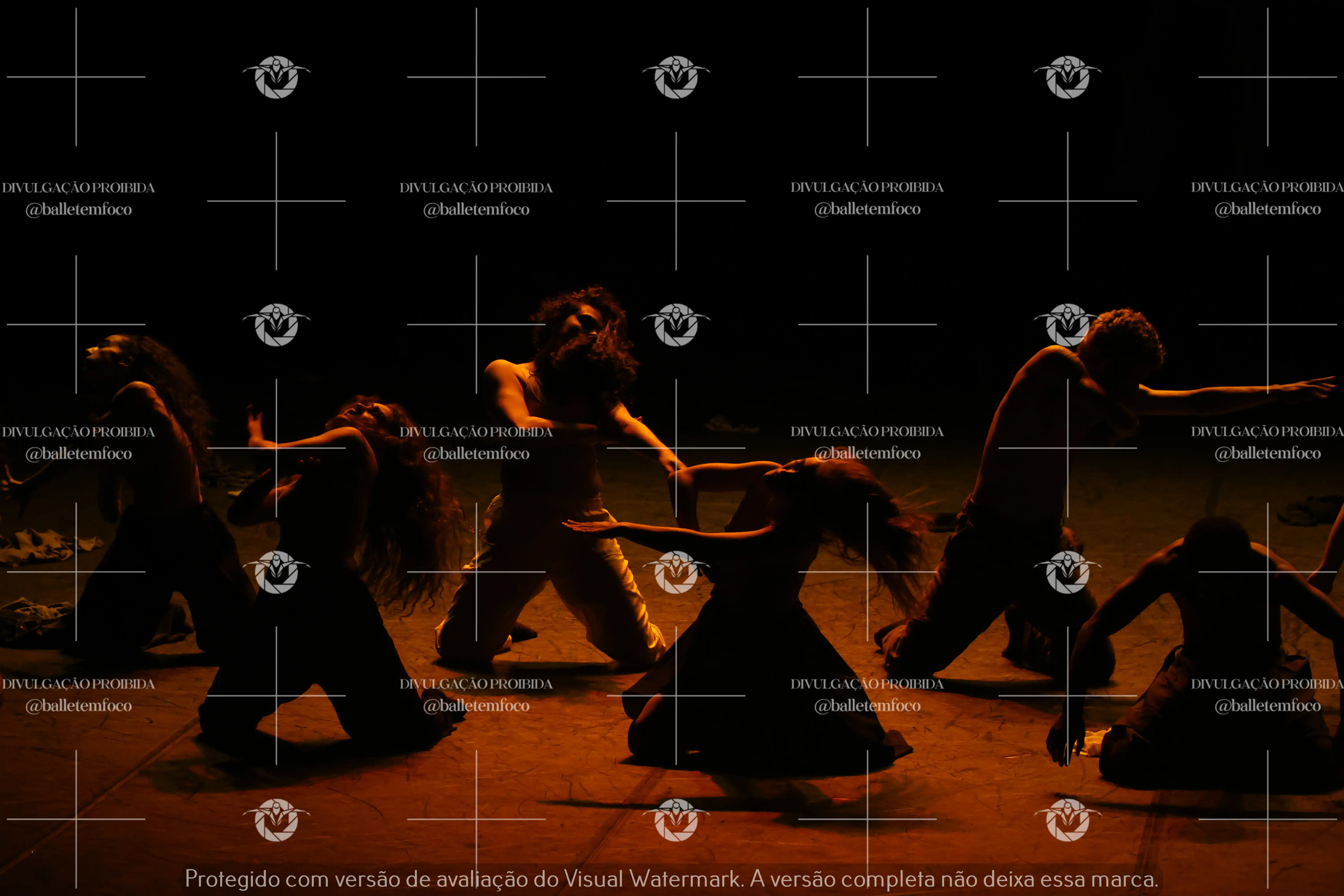 1325_221C (139).webp