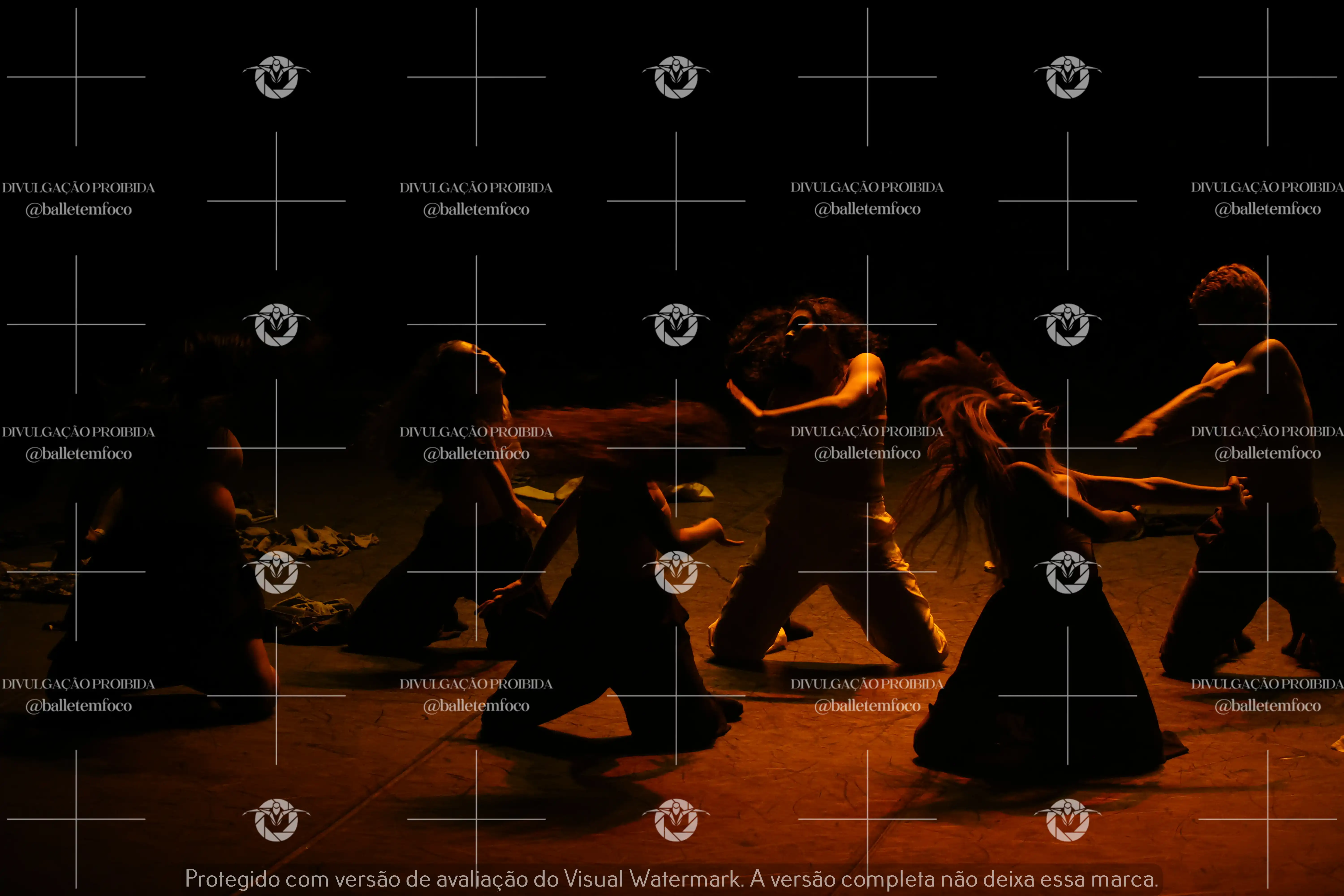 1325_221C (140).webp