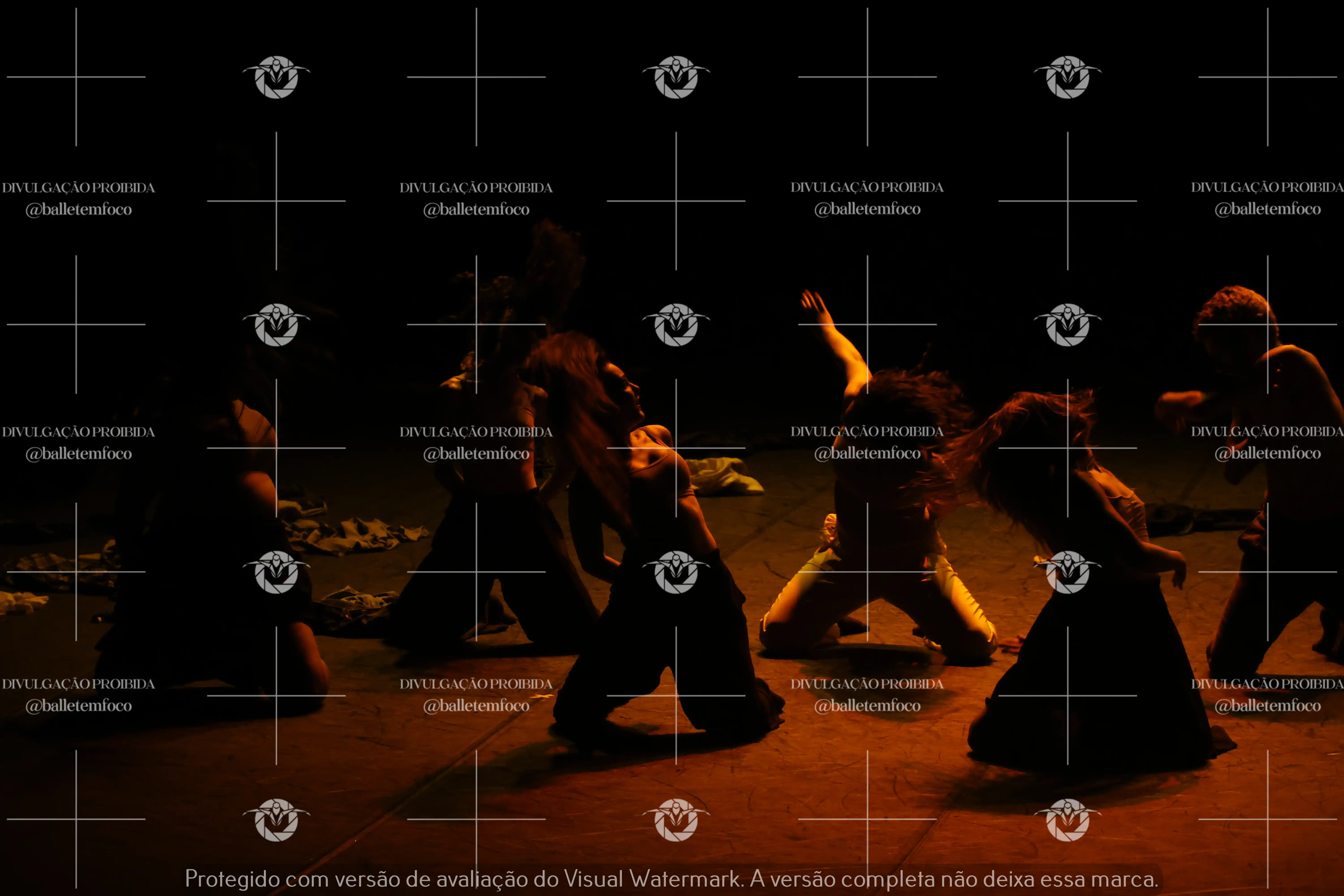 1325_221C (141).webp