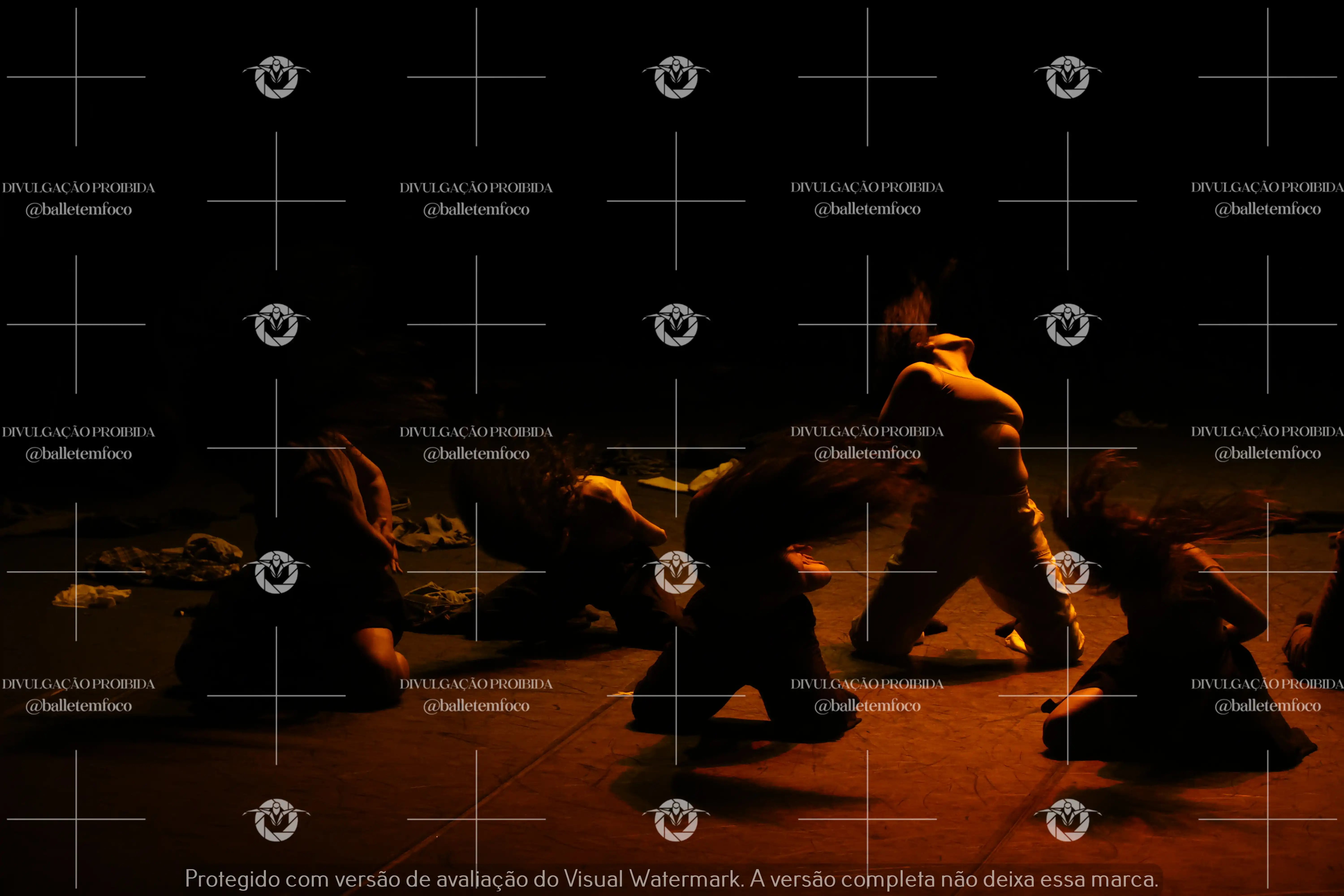 1325_221C (142).webp