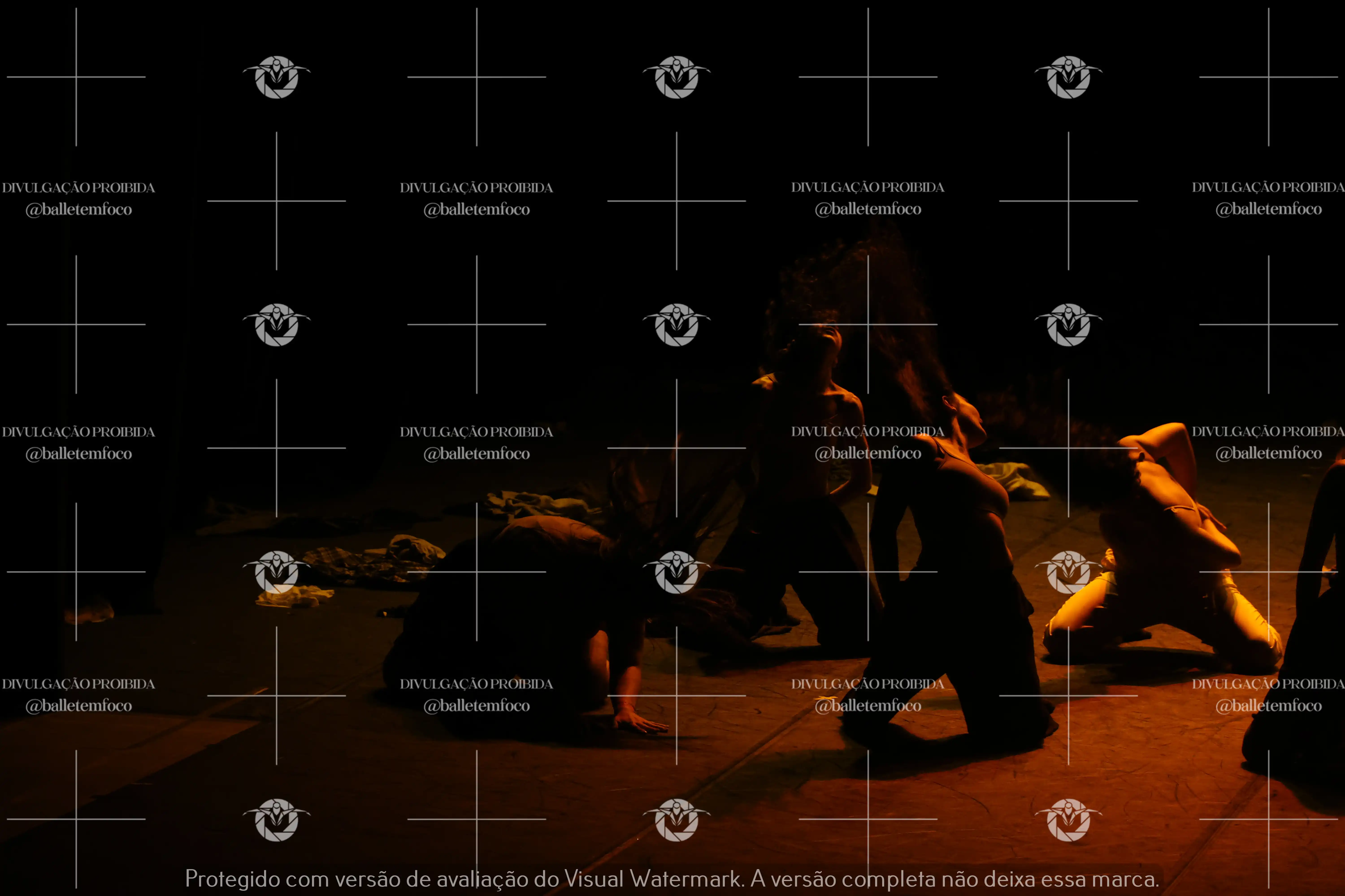 1325_221C (143).webp