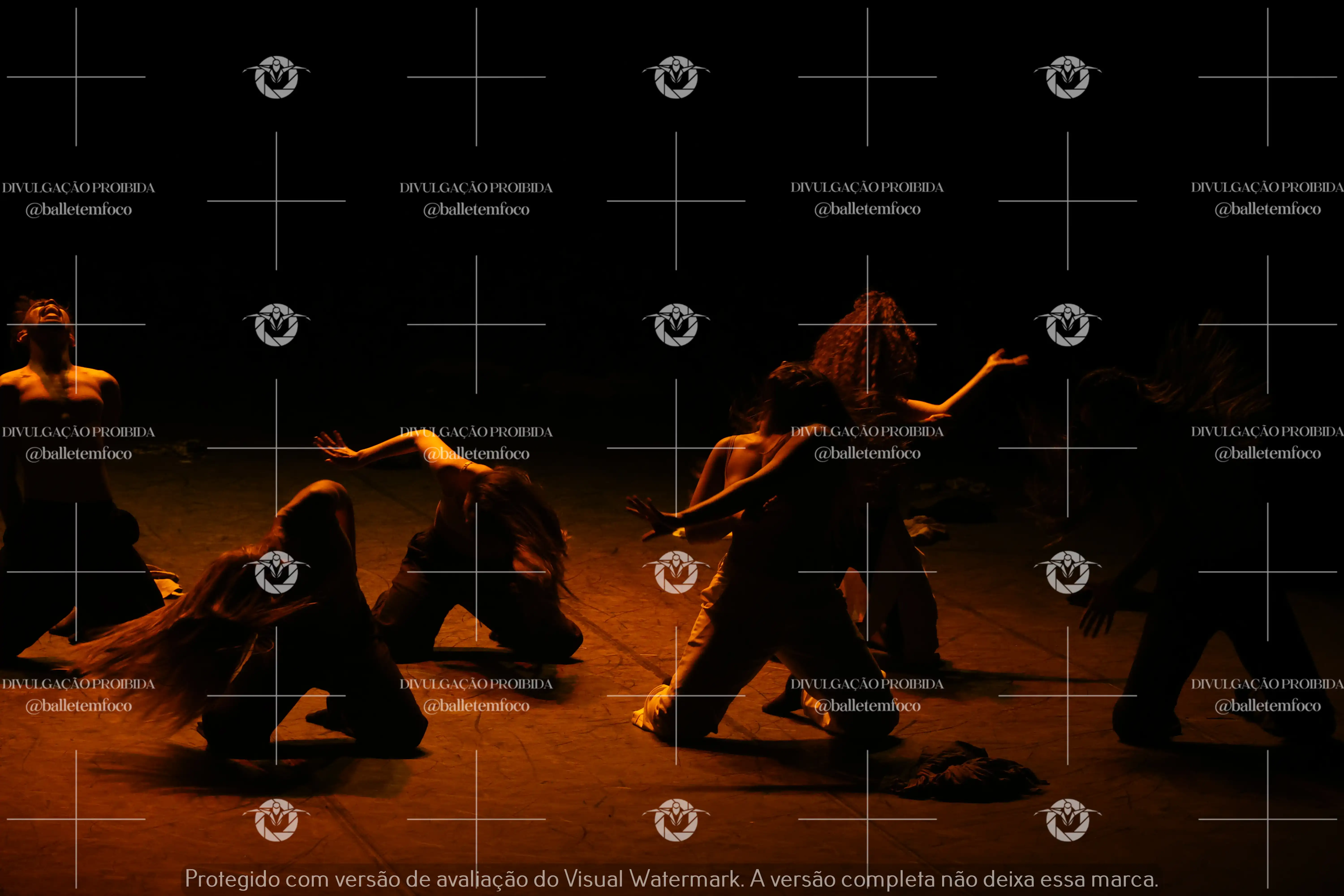 1325_221C (147).webp