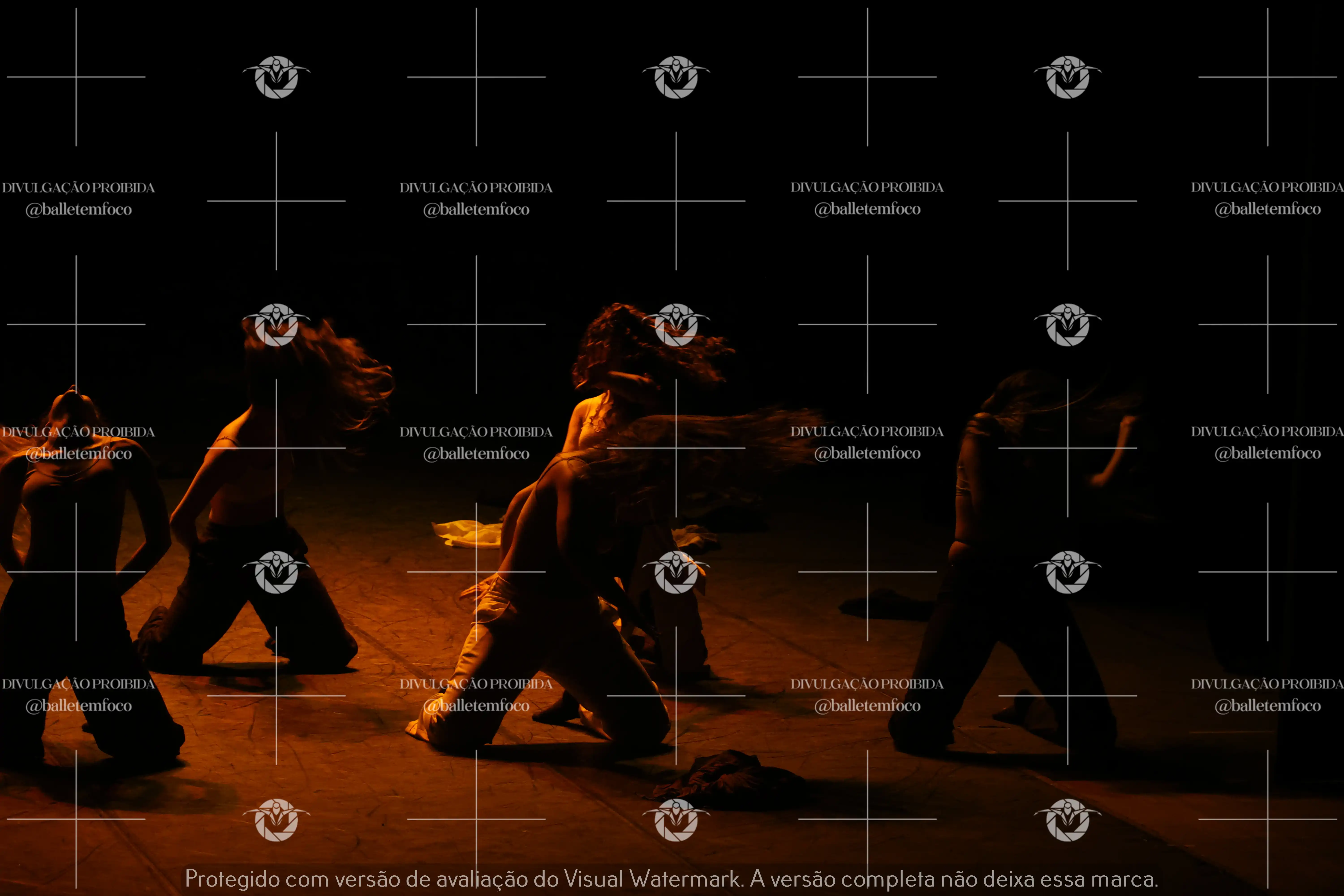 1325_221C (148).webp