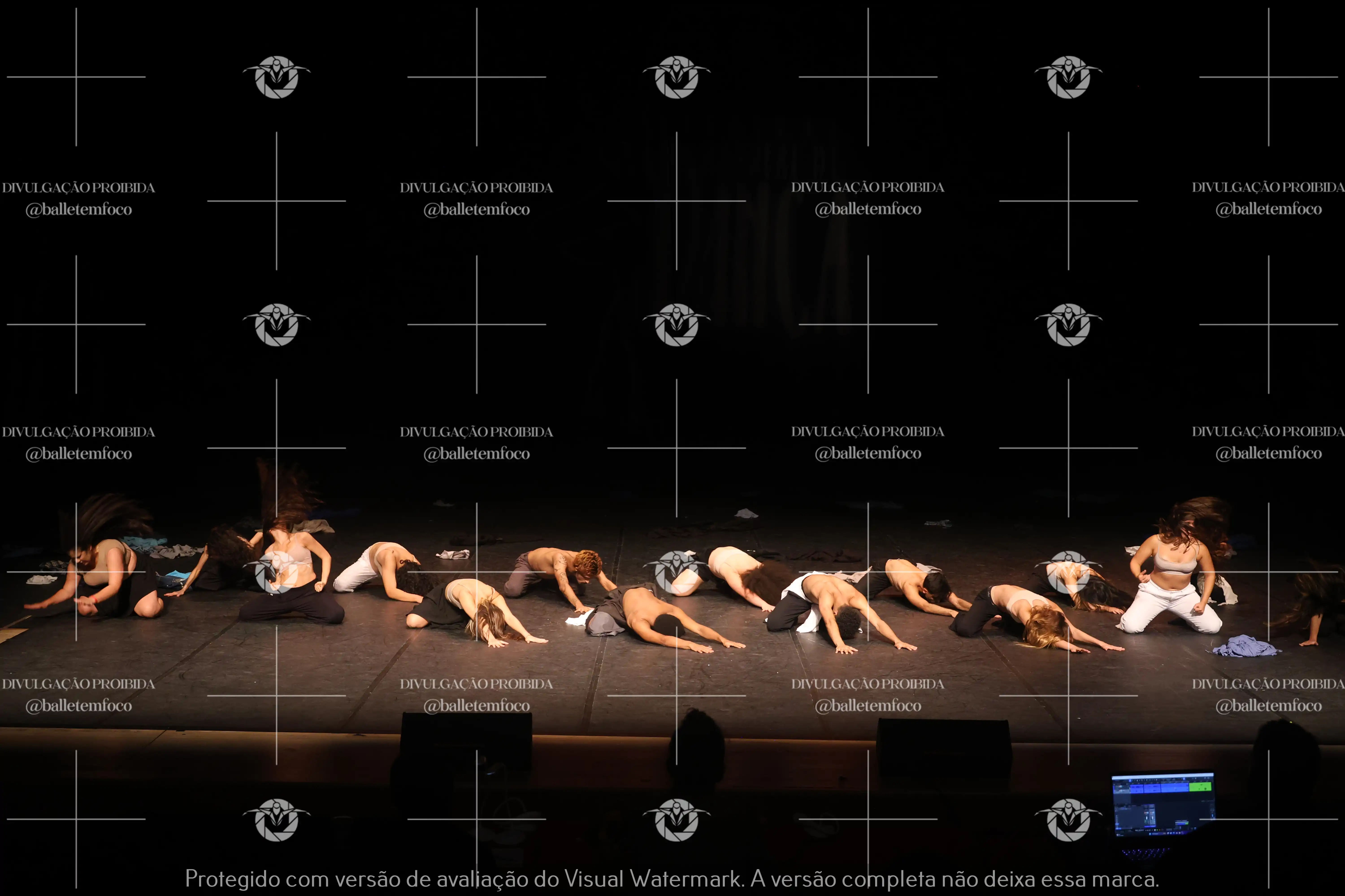 1325_221C (150).webp