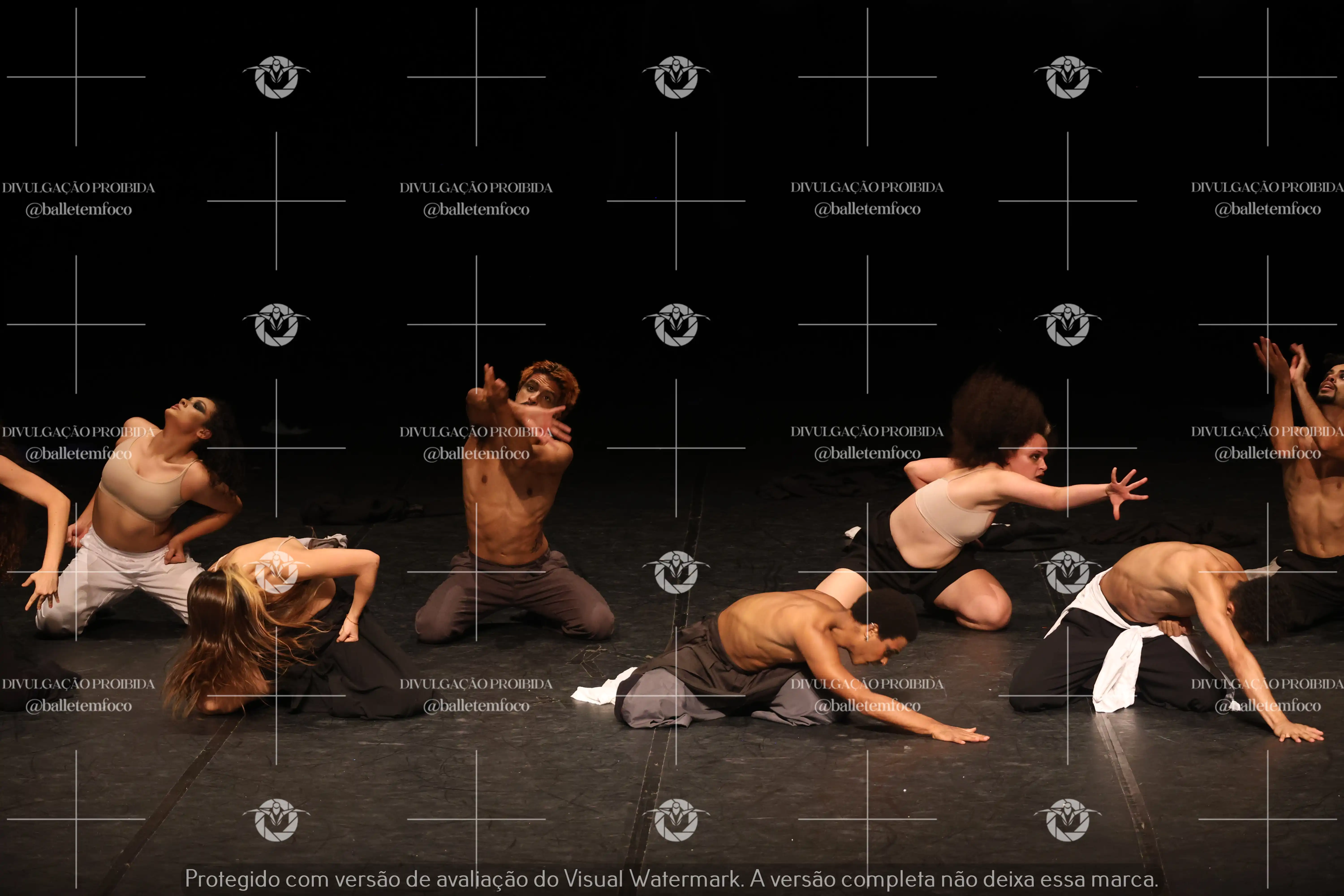 1325_221C (155).webp