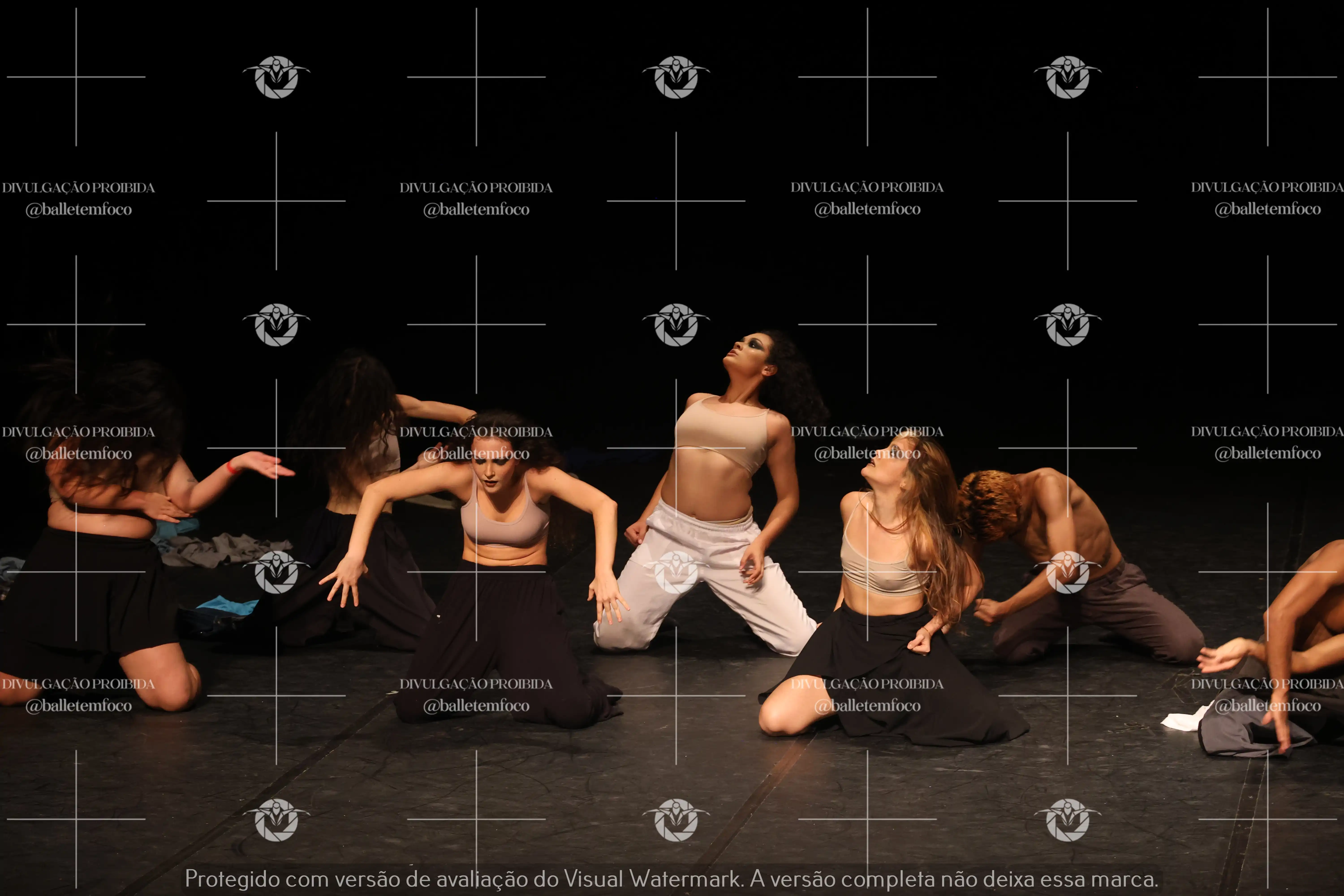 1325_221C (156).webp