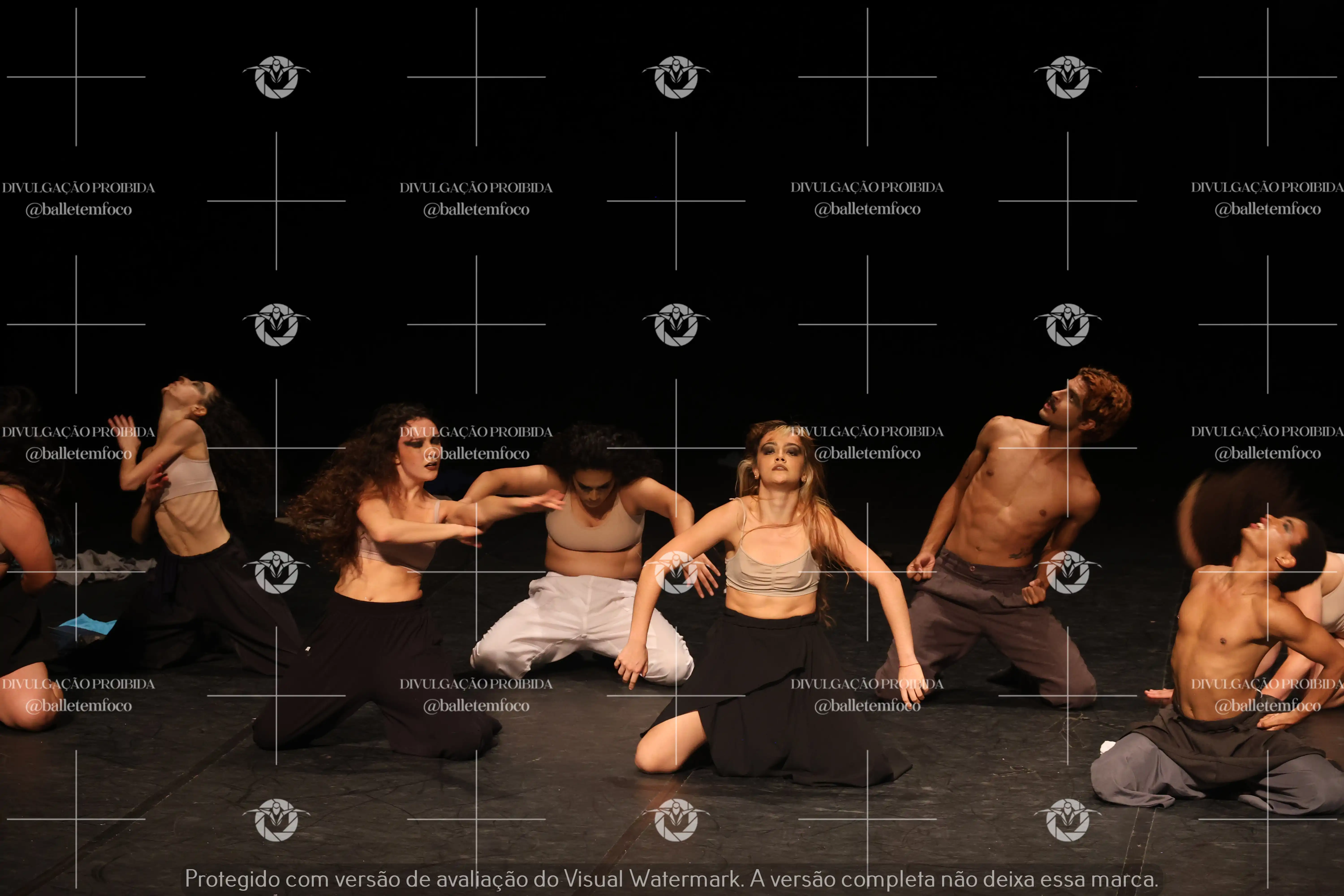 1325_221C (158).webp