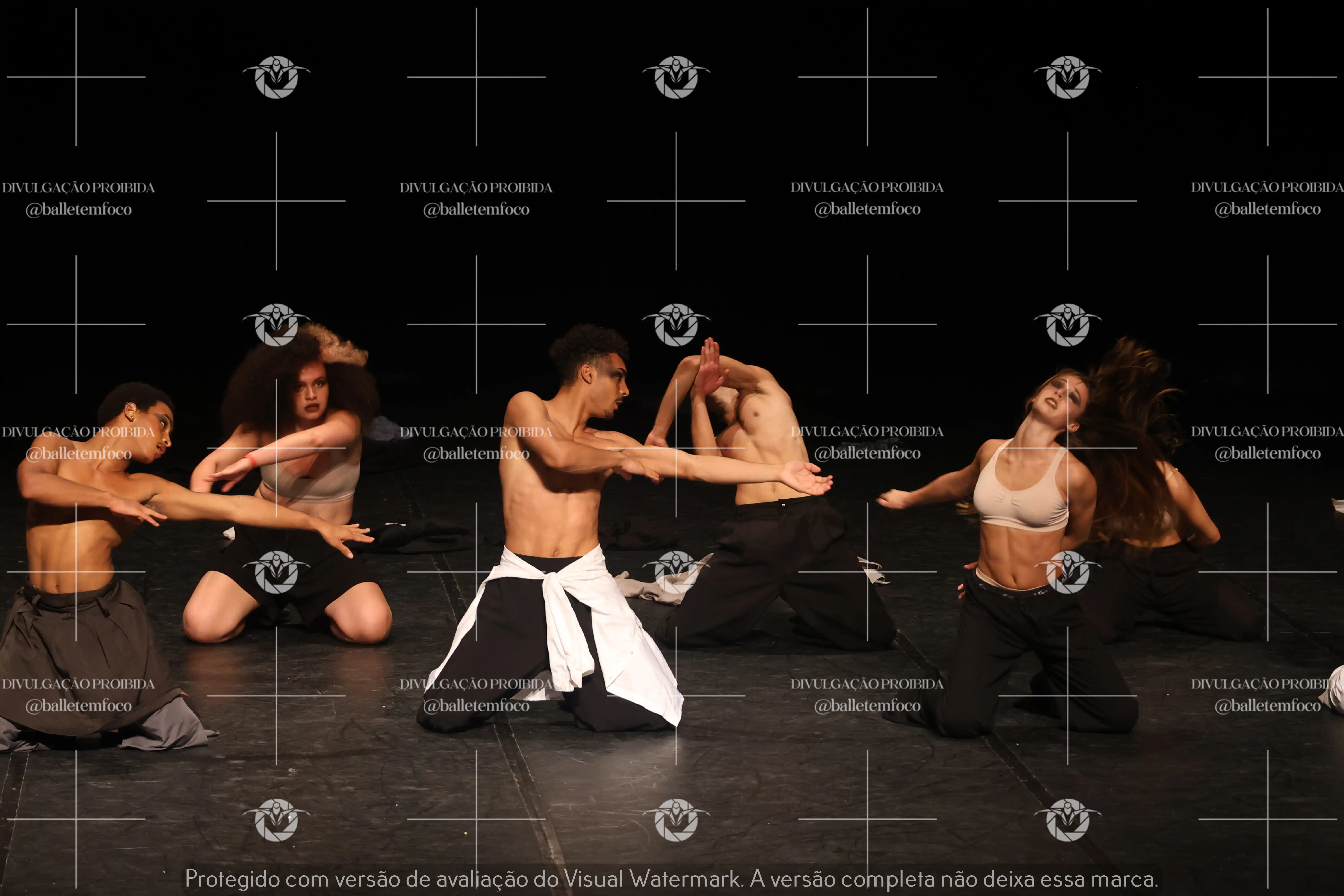 1325_221C (160).webp