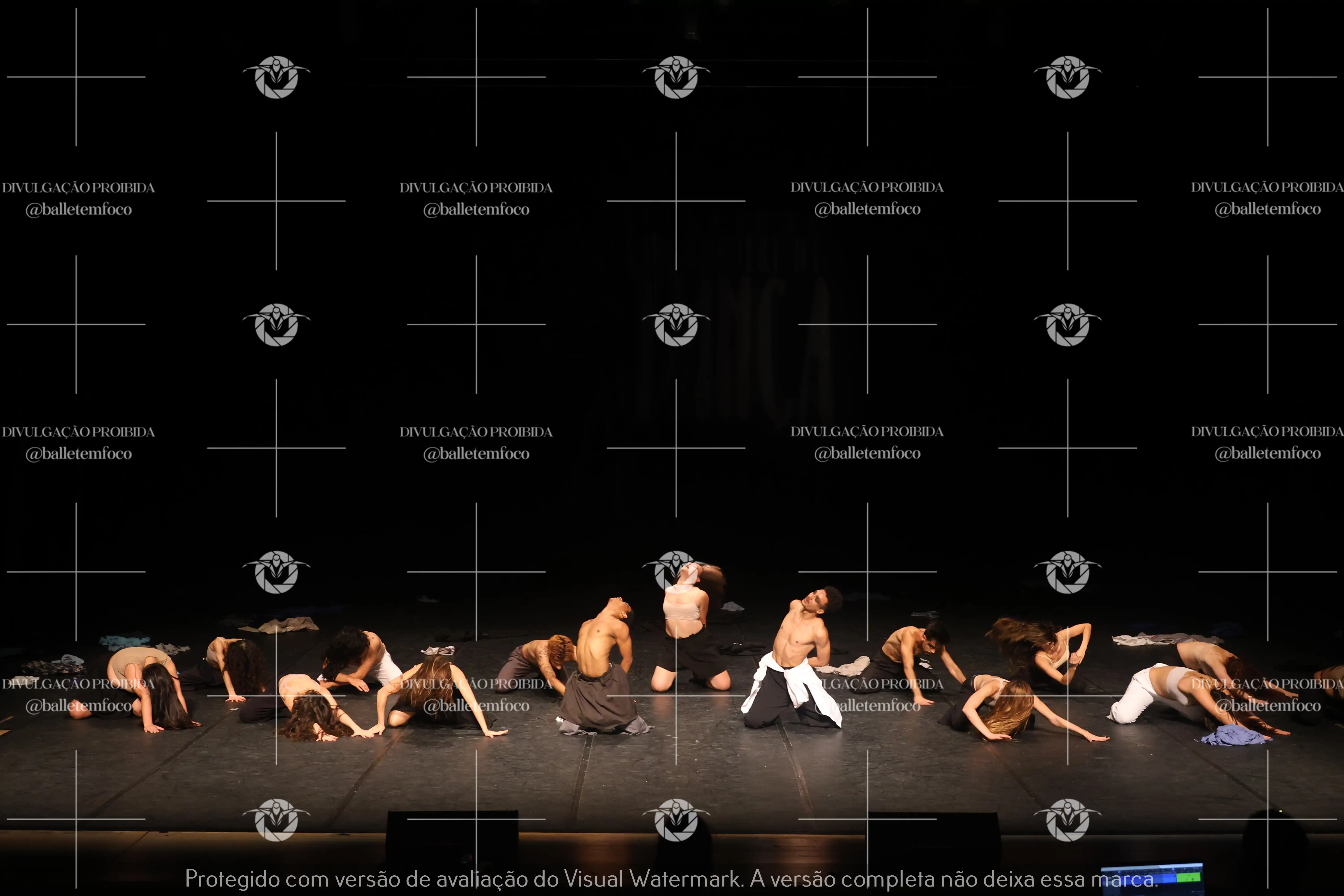 1325_221C (161).webp