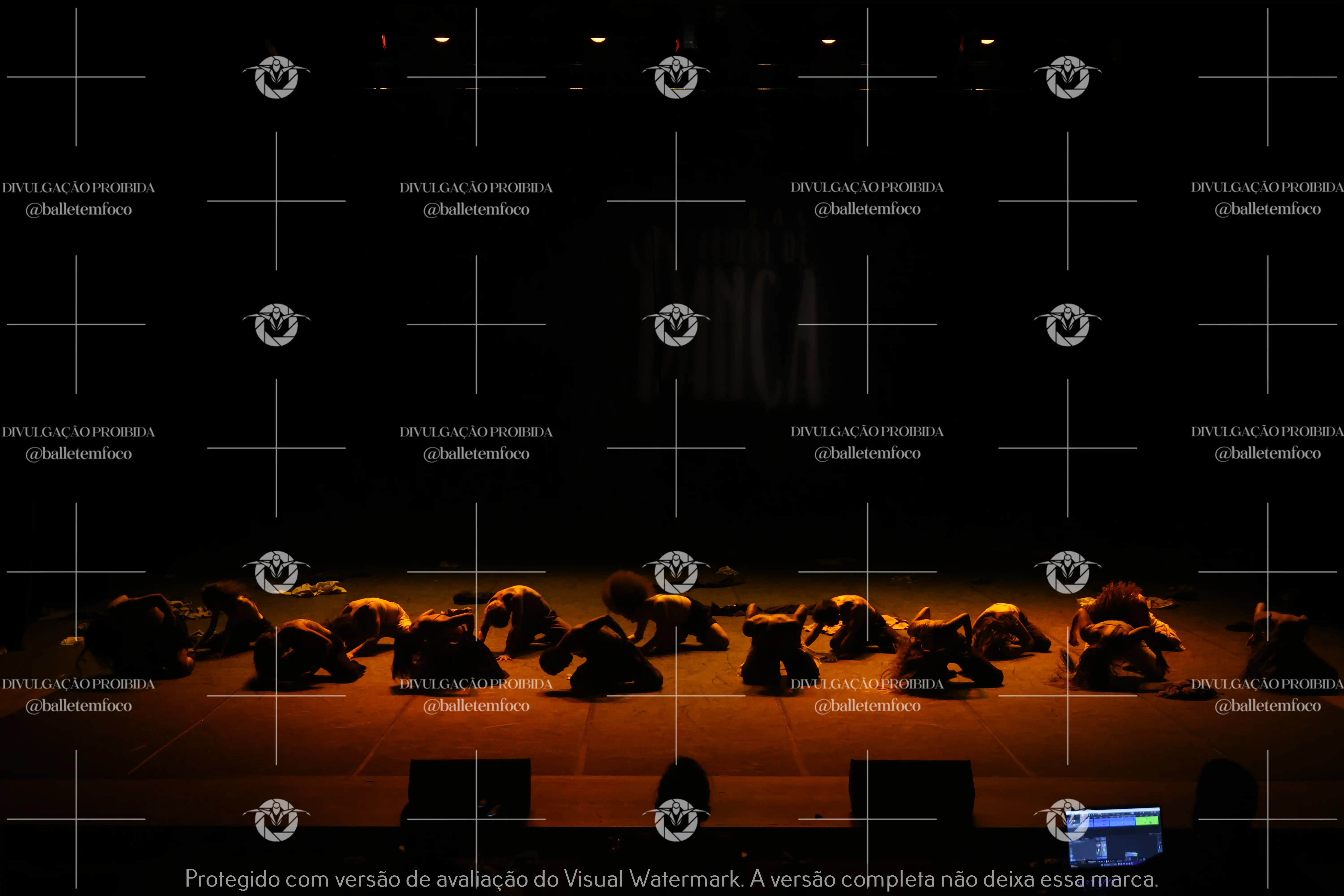 1325_221C (164).webp