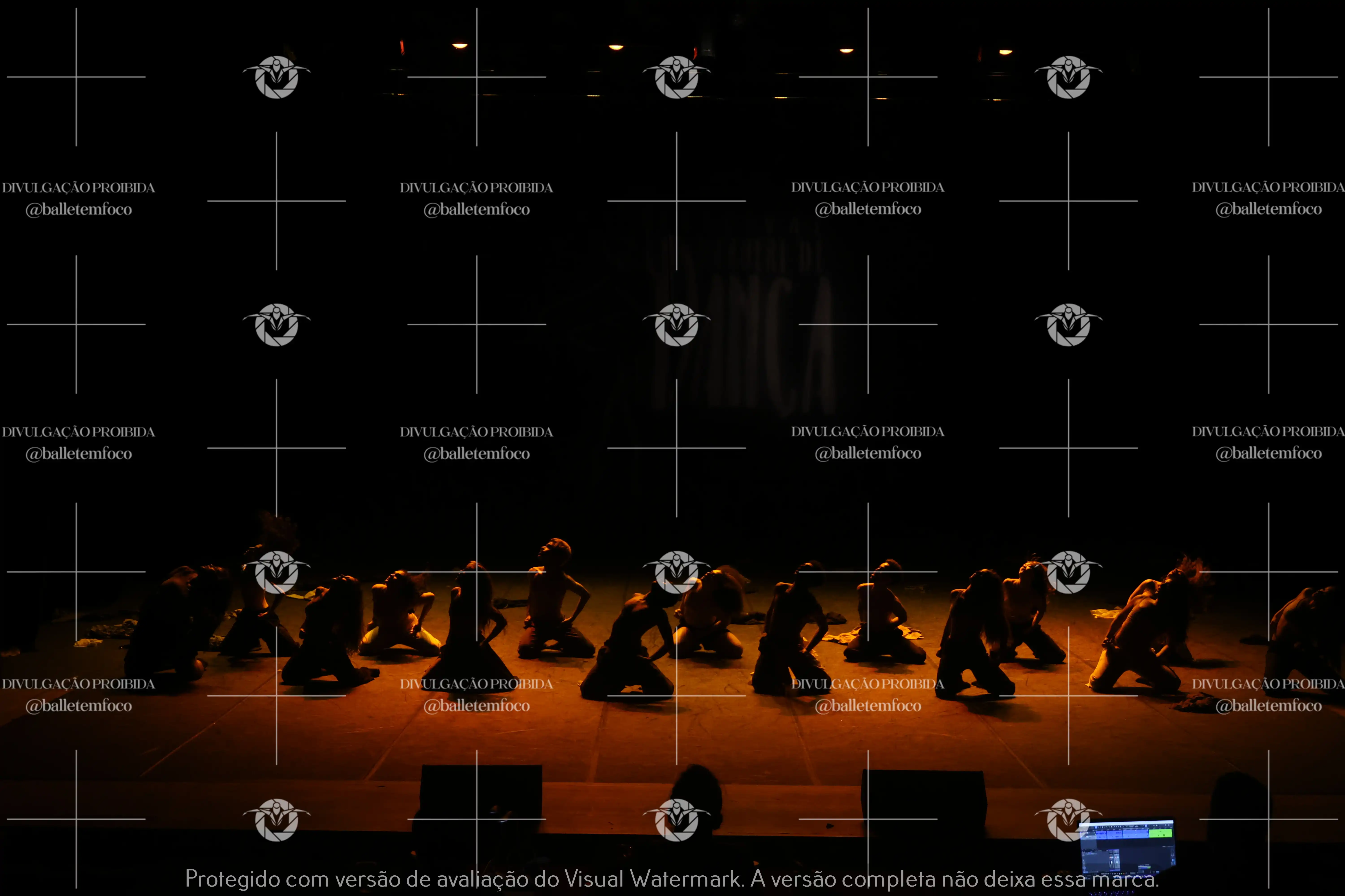 1325_221C (165).webp