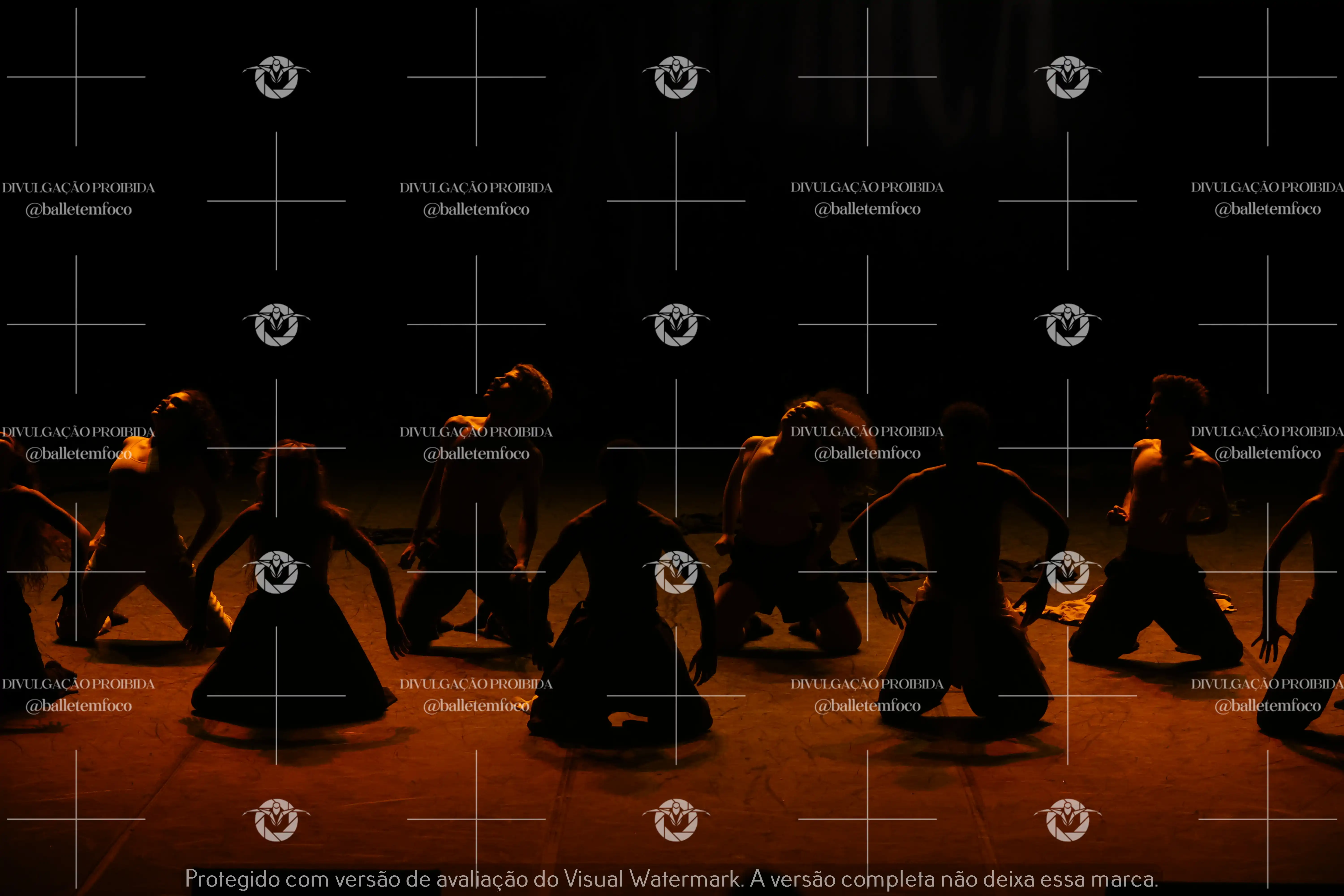 1325_221C (166).webp