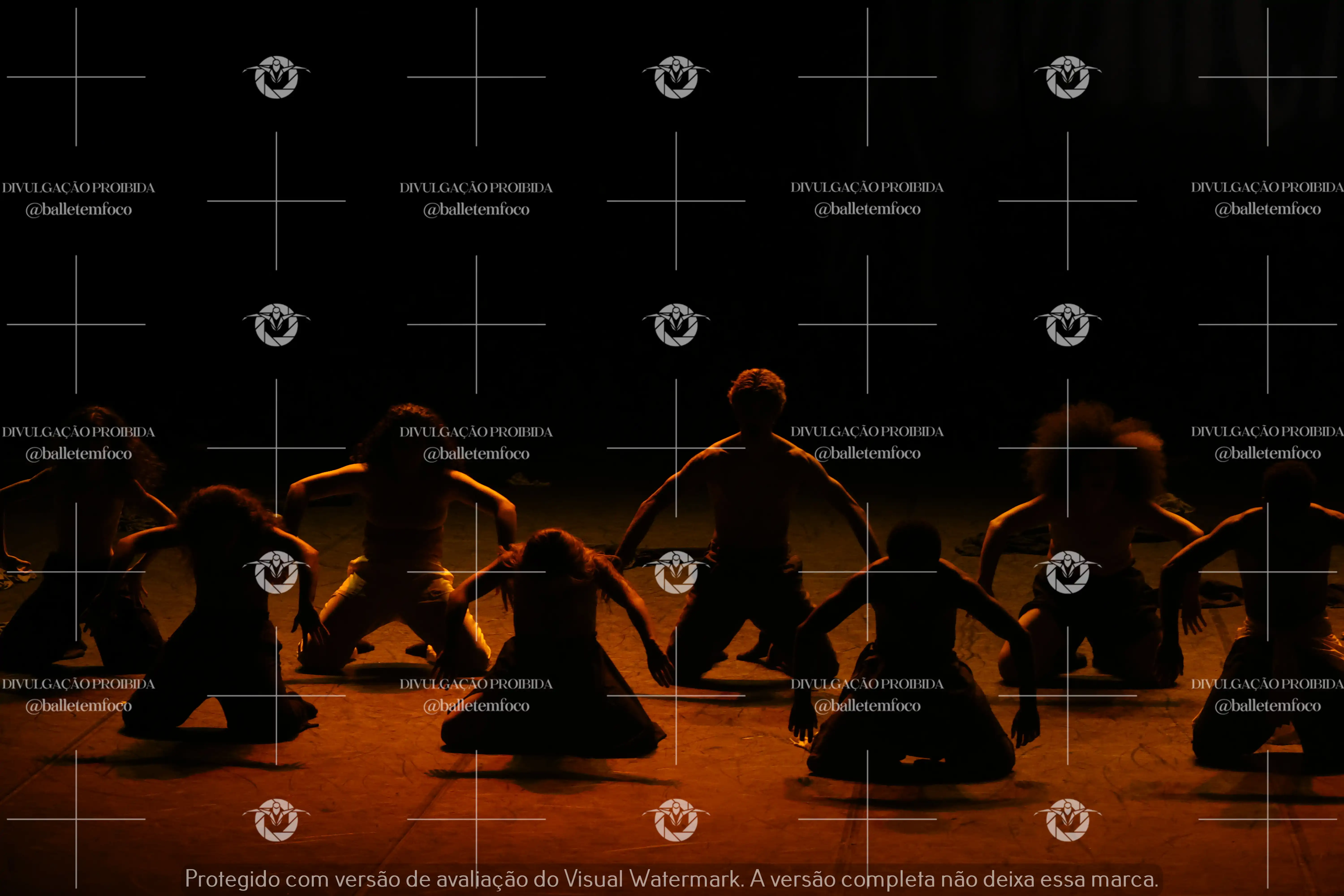 1325_221C (167).webp