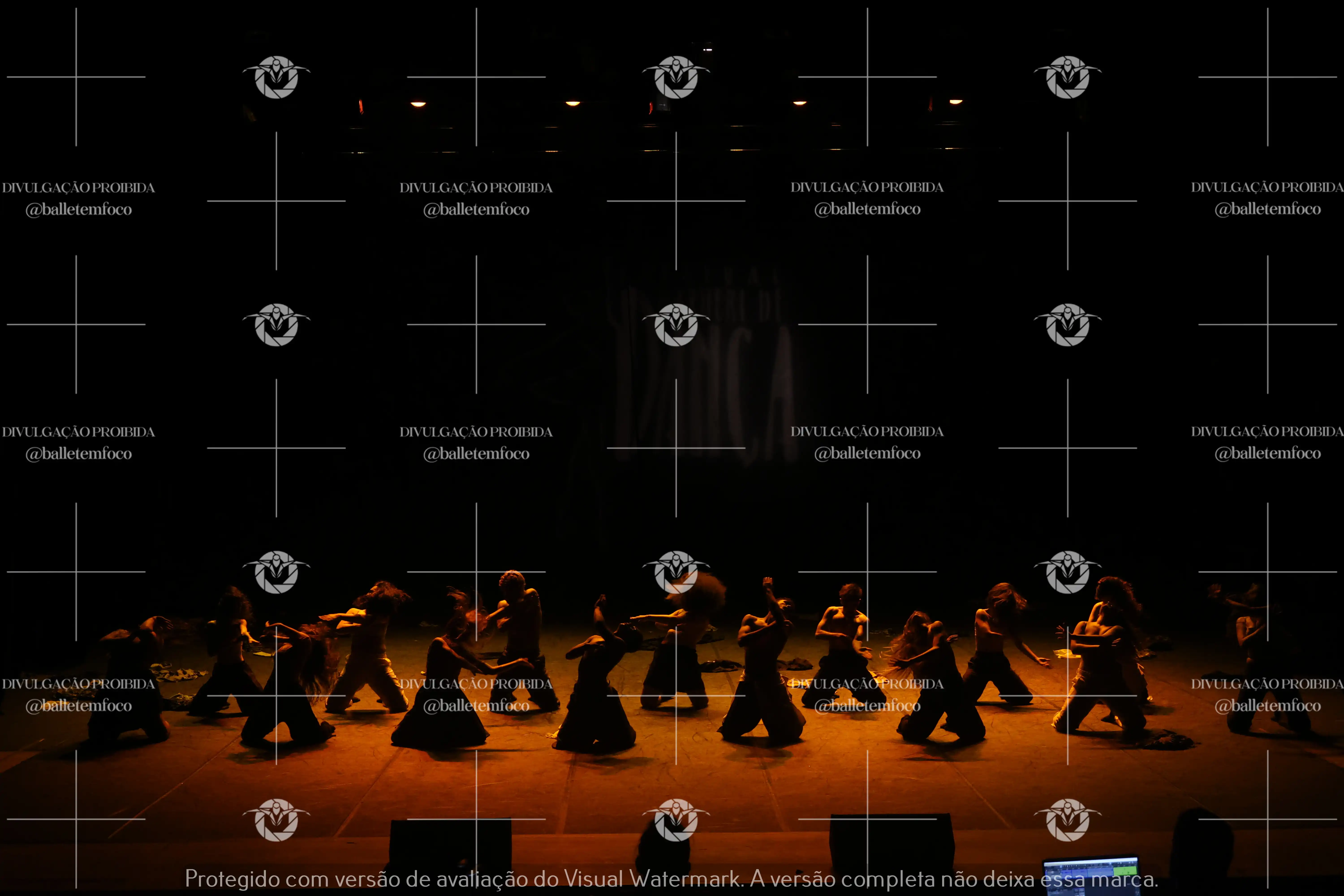 1325_221C (168).webp