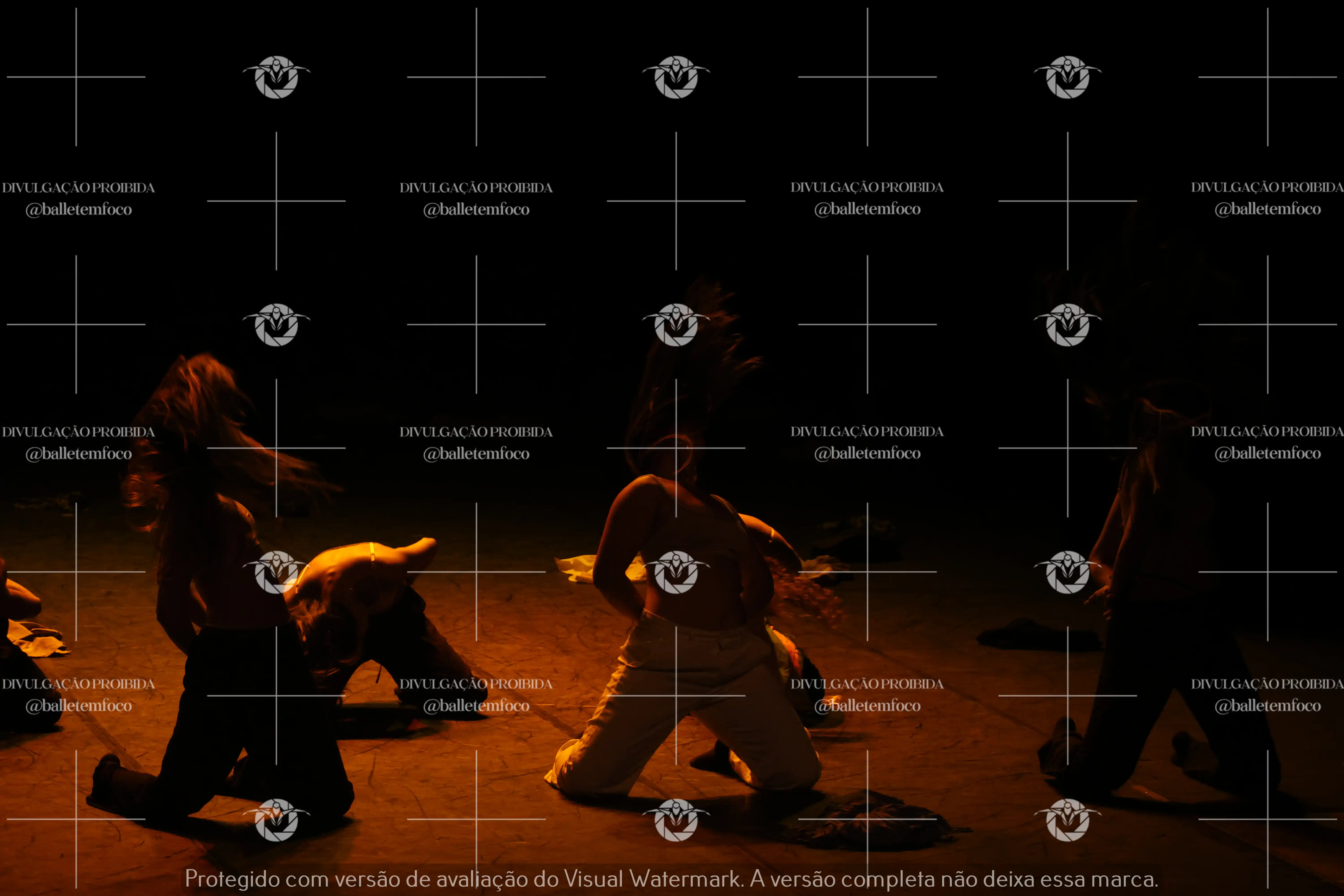 1325_221C (169).webp